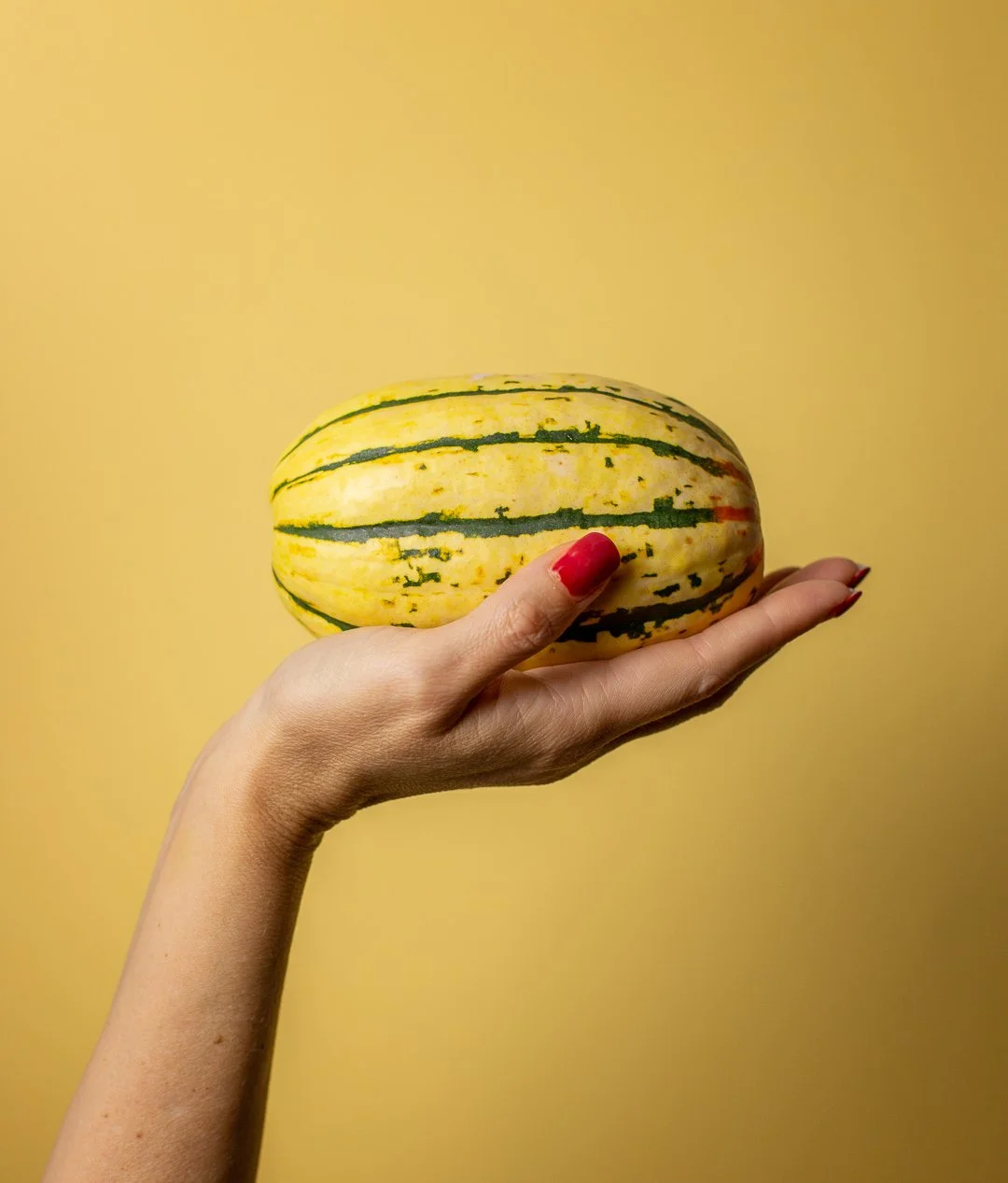 SquashIMG_0005-2 (2).jpg