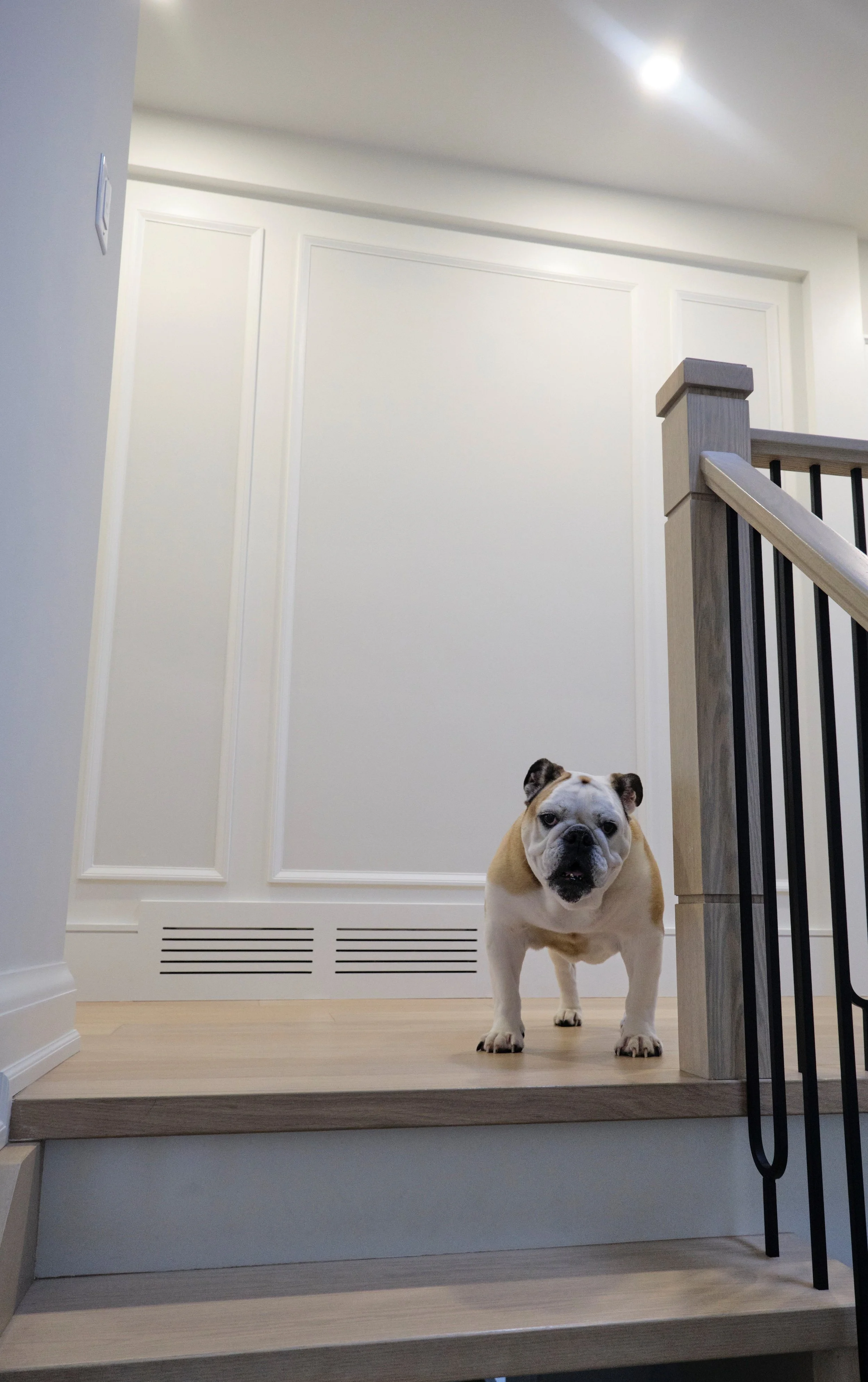 stair1.jpg