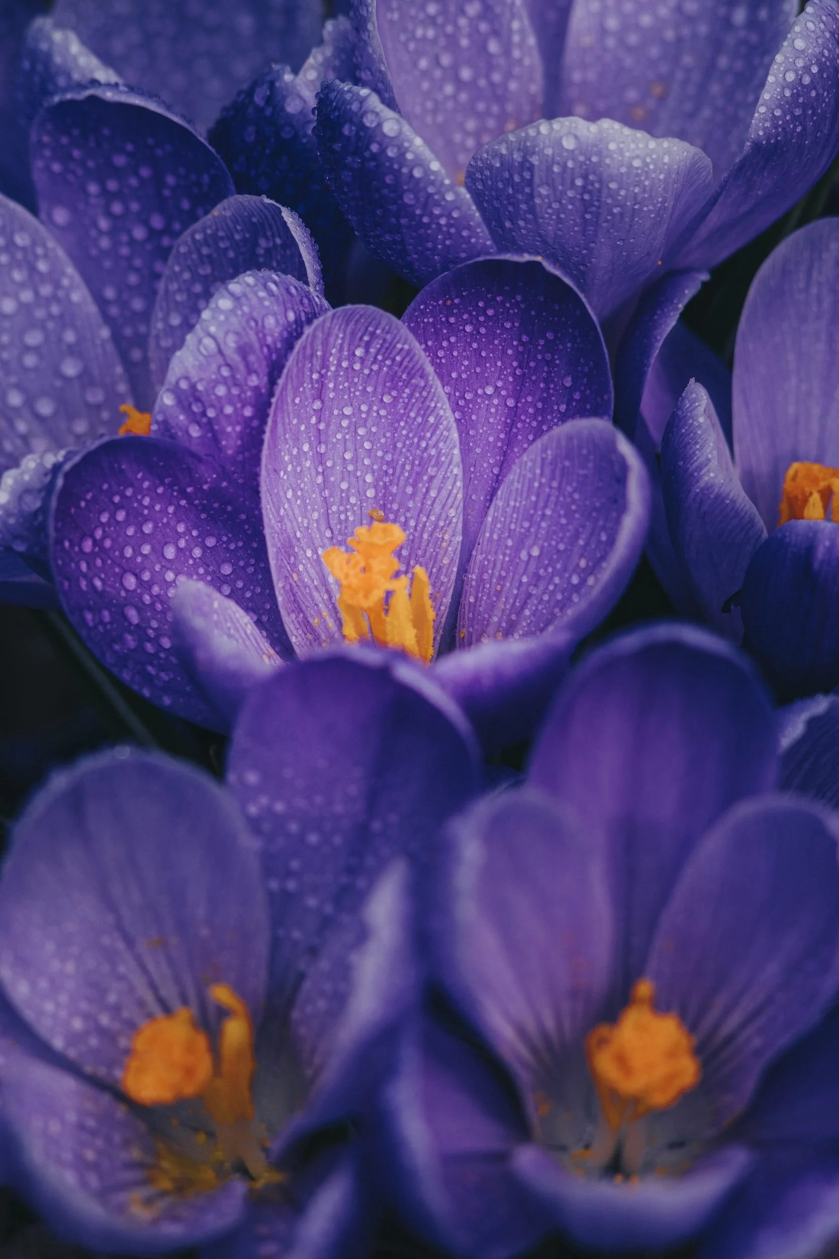 unsplash-image-lWJeGCgVbYI.jpg