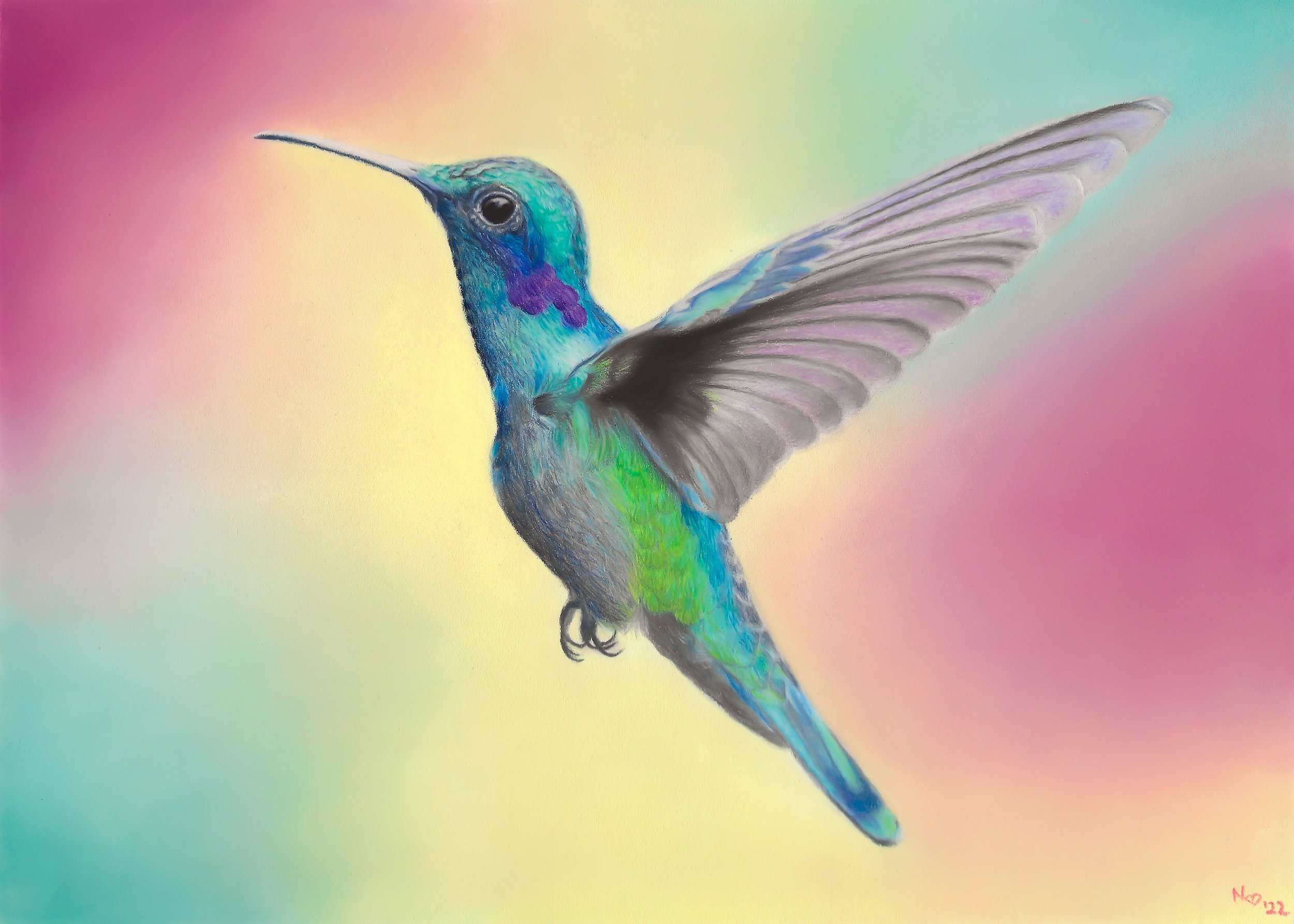 hummingbirdfaa.jpg