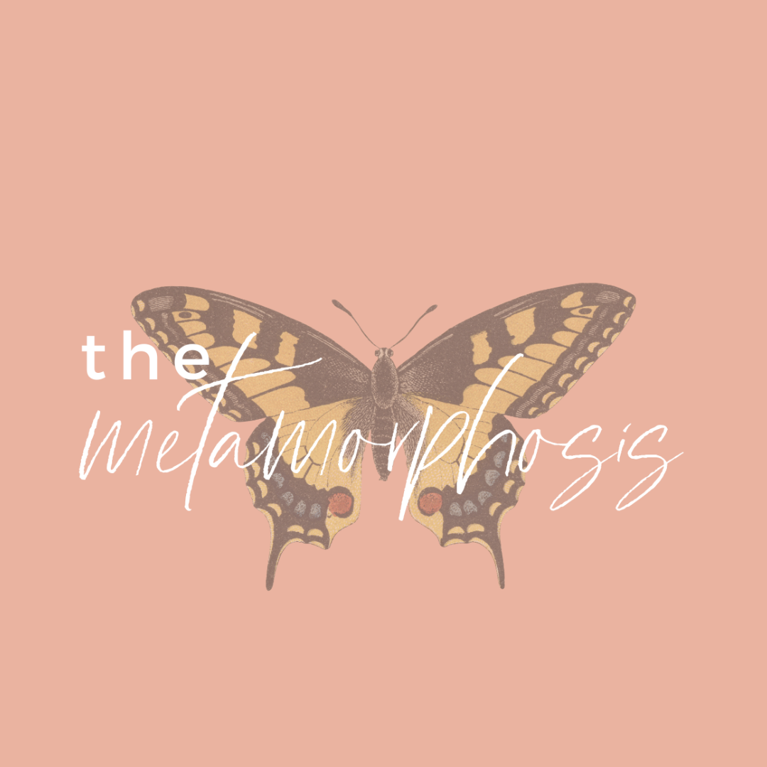 Illustration of a butterfly with the text "the metamorphosis" on a peach background.