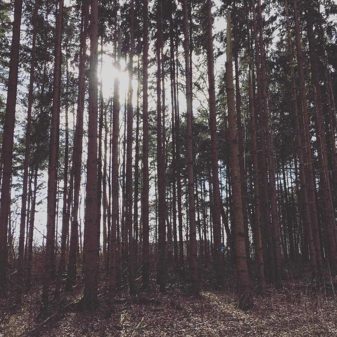 Findes&nbsp;en glæde i begrænsningen? spurgte jeg kvinden der stod i skæret fra ildstedet.