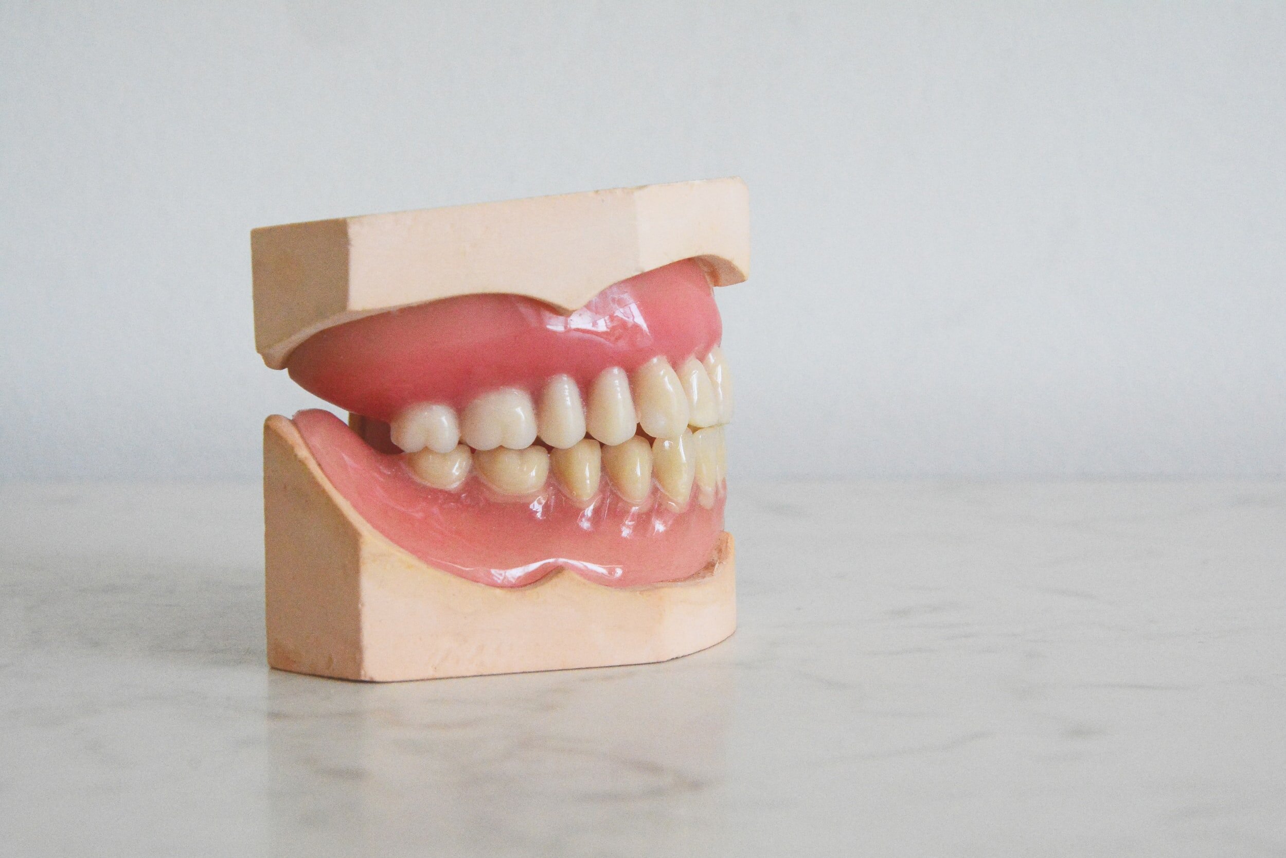 Image shows a dental mold