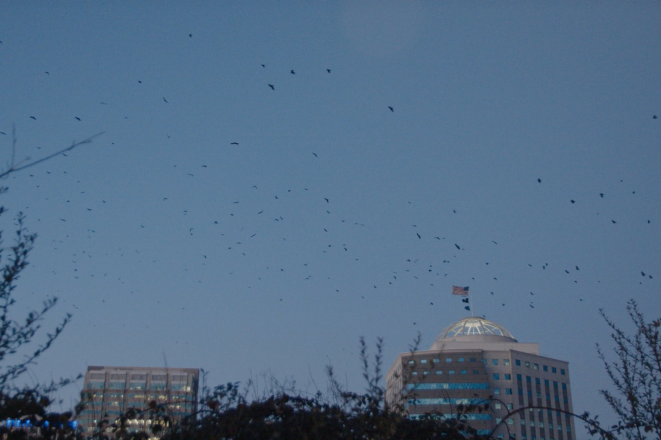 Screenshot 2026-01-25 at 14.18.20.jpg