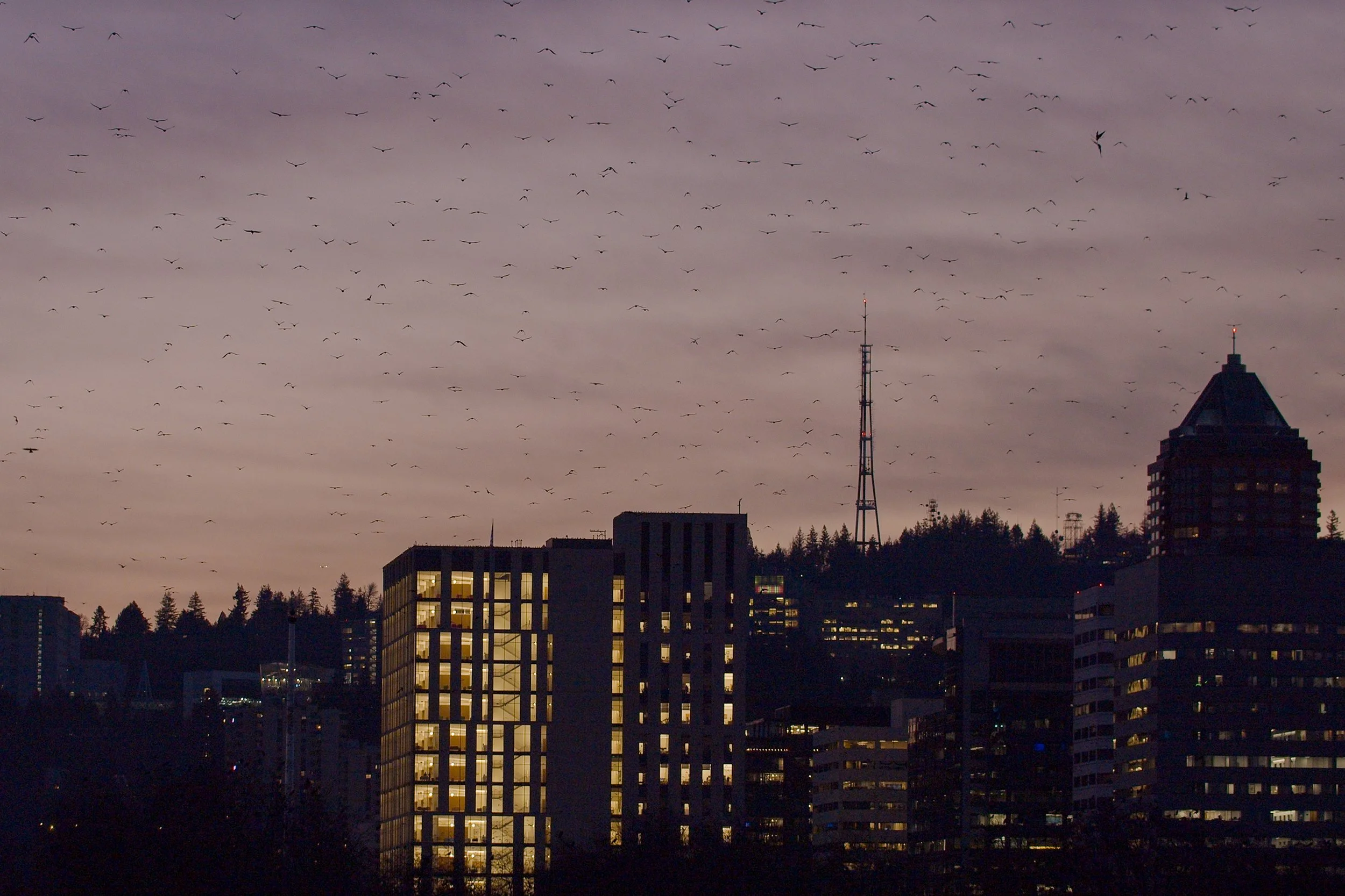 Screenshot 2026-01-23 at 15.23.27.jpg