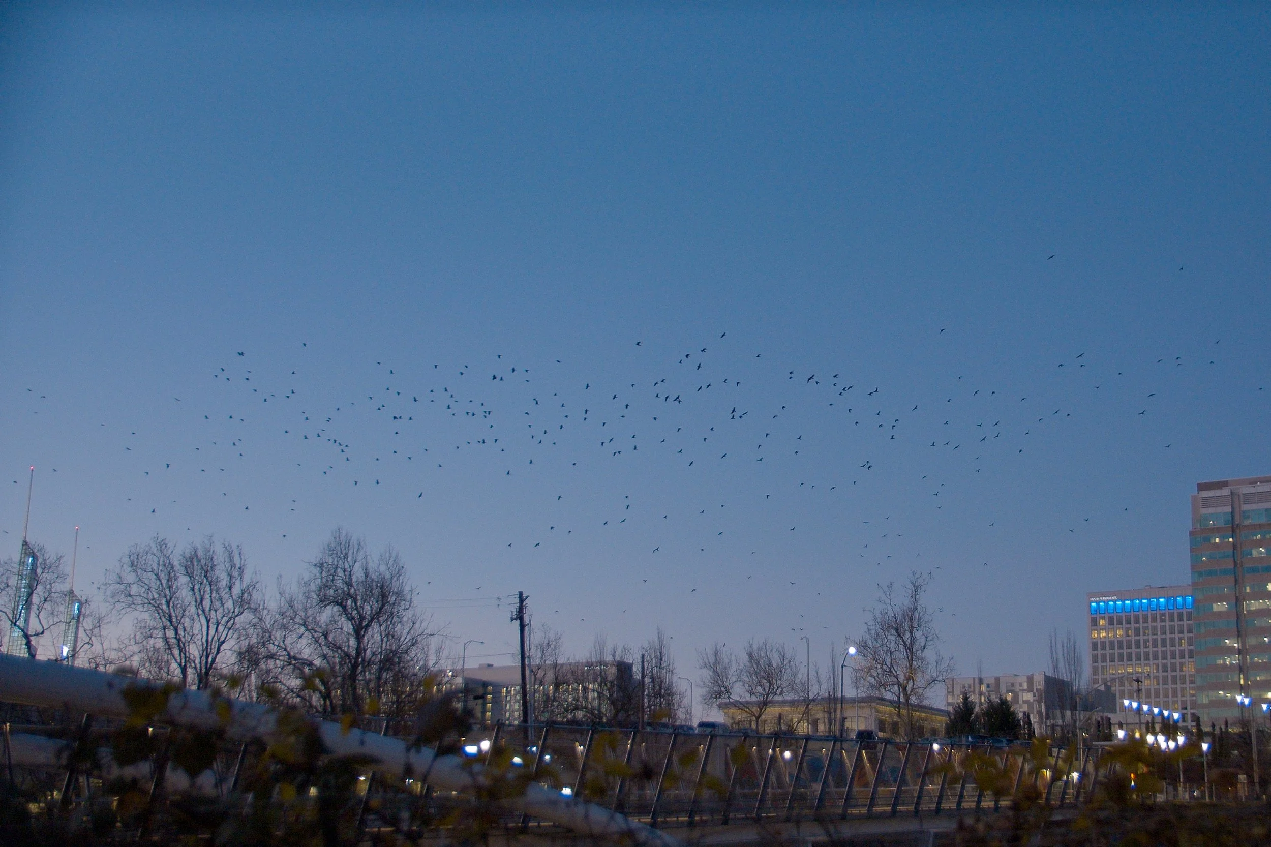 Screenshot 2026-01-25 at 14.20.03.jpg