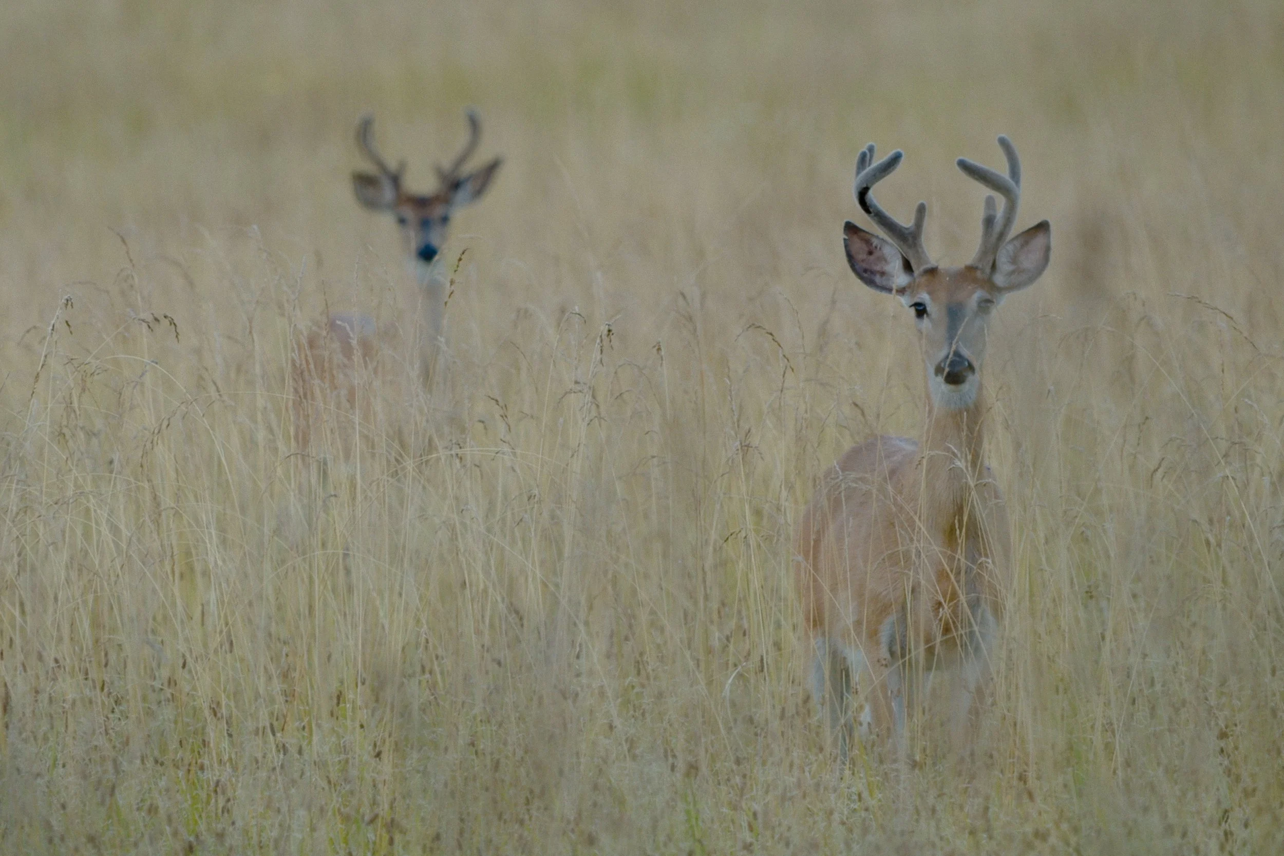 Screenshot 2024-08-09 at 09.50.39.jpg