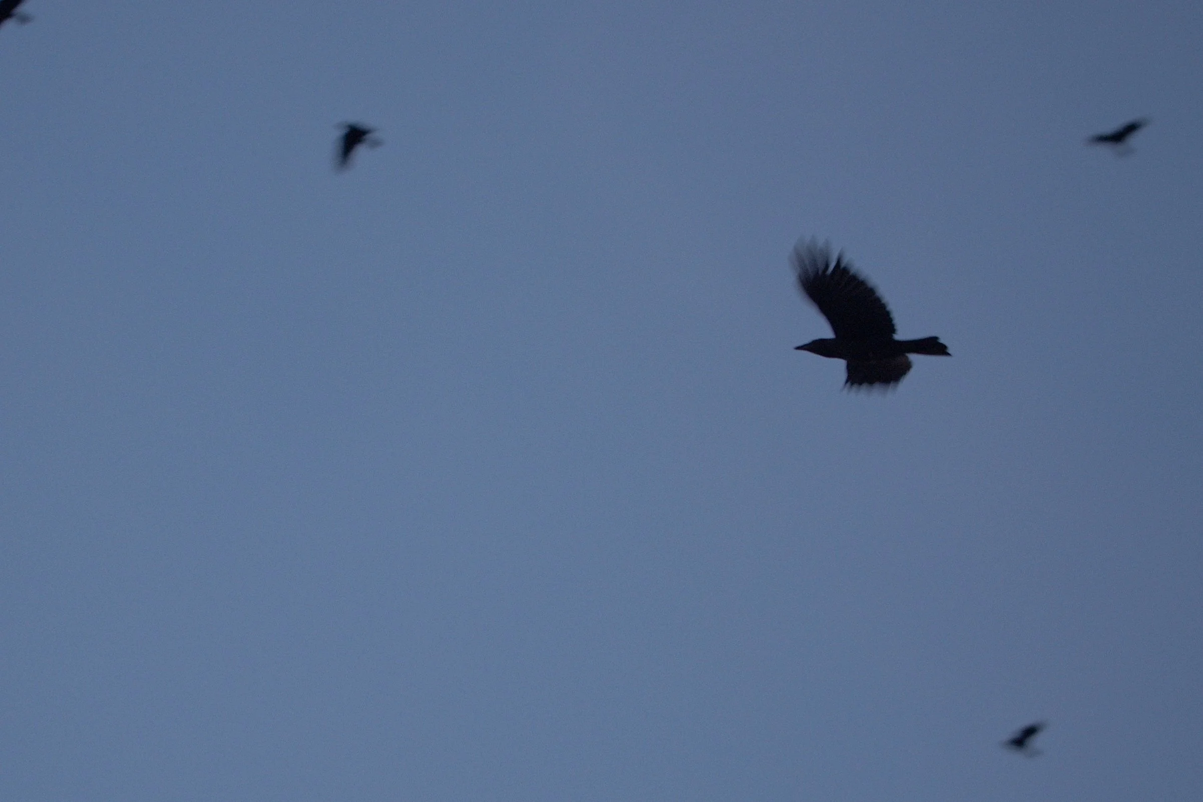 Screenshot 2026-01-23 at 15.26.51.jpg