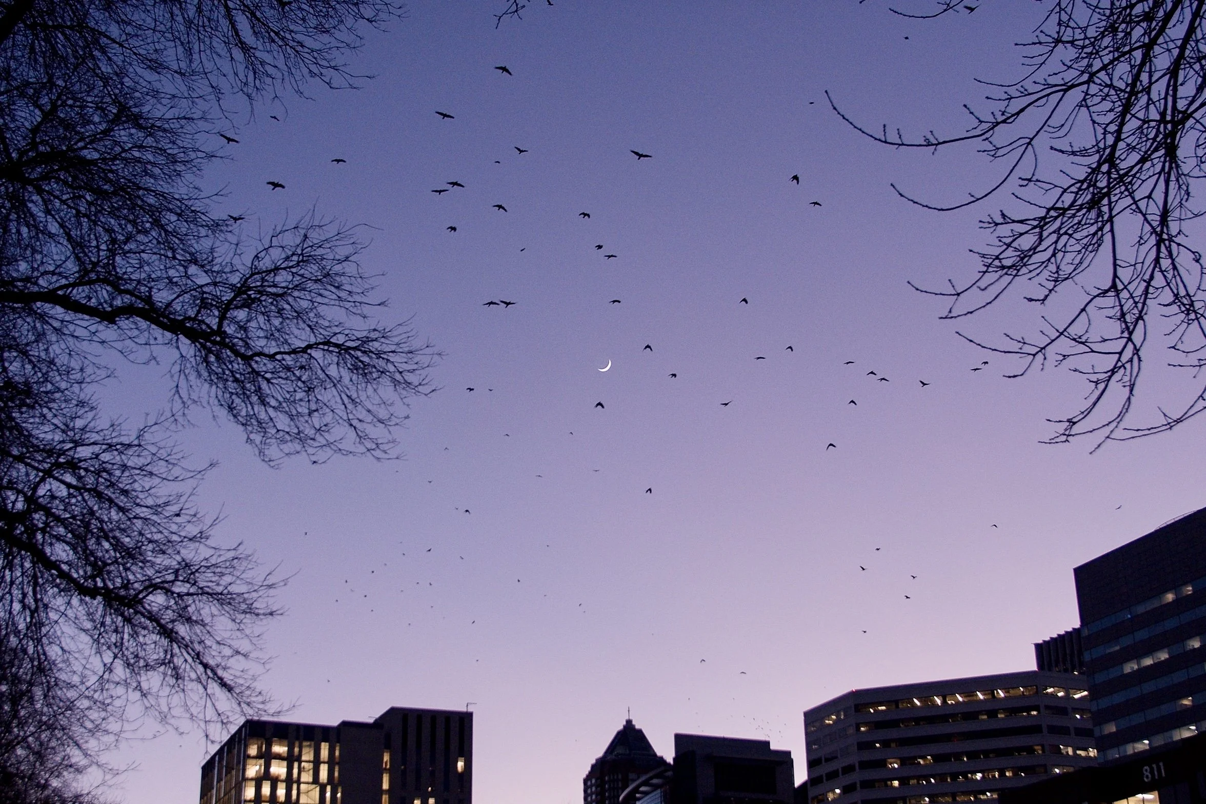 Screenshot 2026-01-22 at 11.44.32.jpg