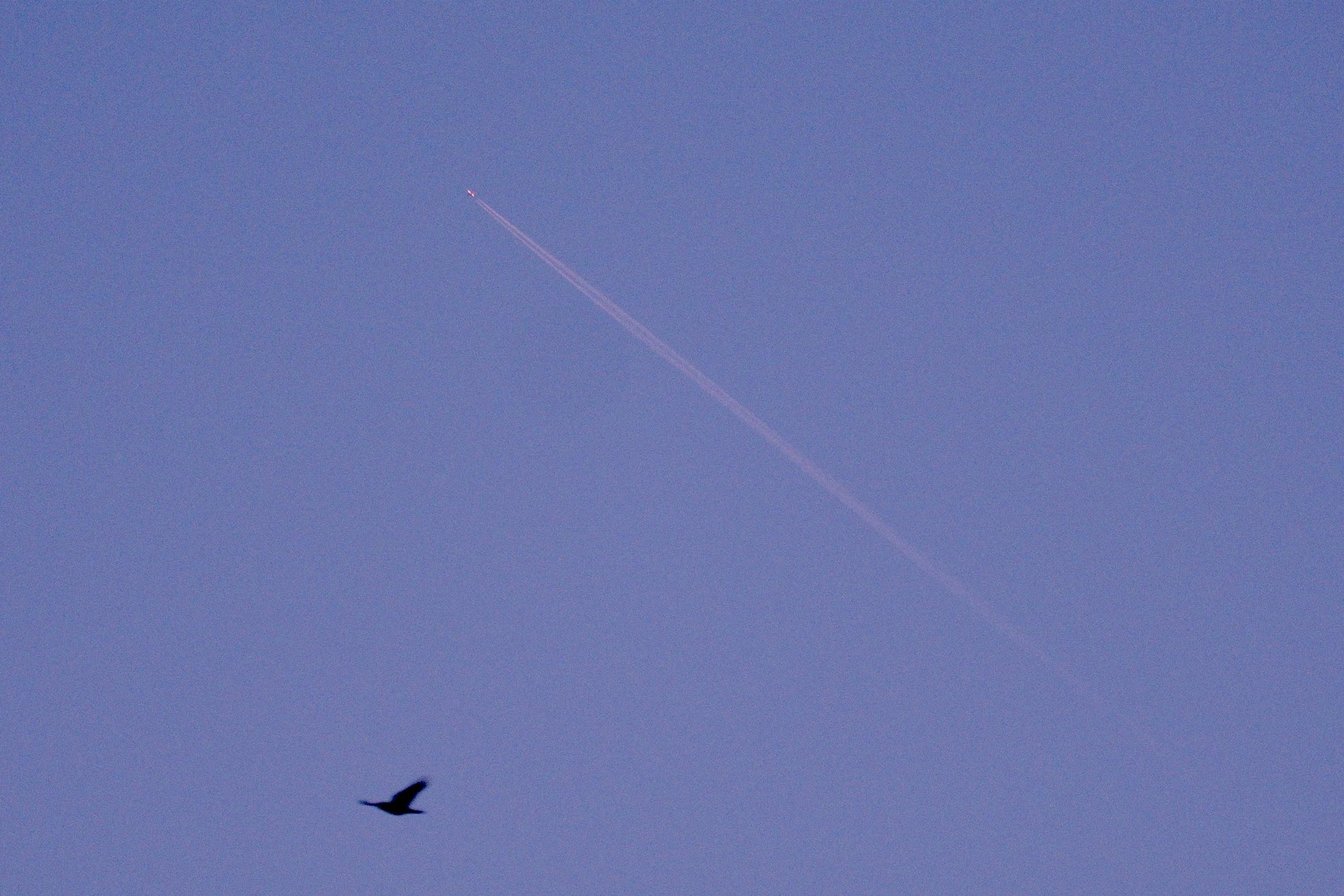 Screenshot 2026-01-22 at 11.39.02.jpg