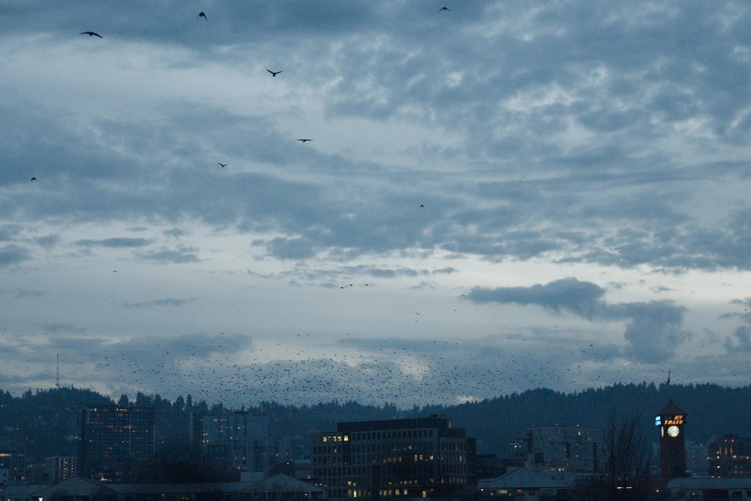 Screenshot 2026-01-28 at 12.33.04.jpg