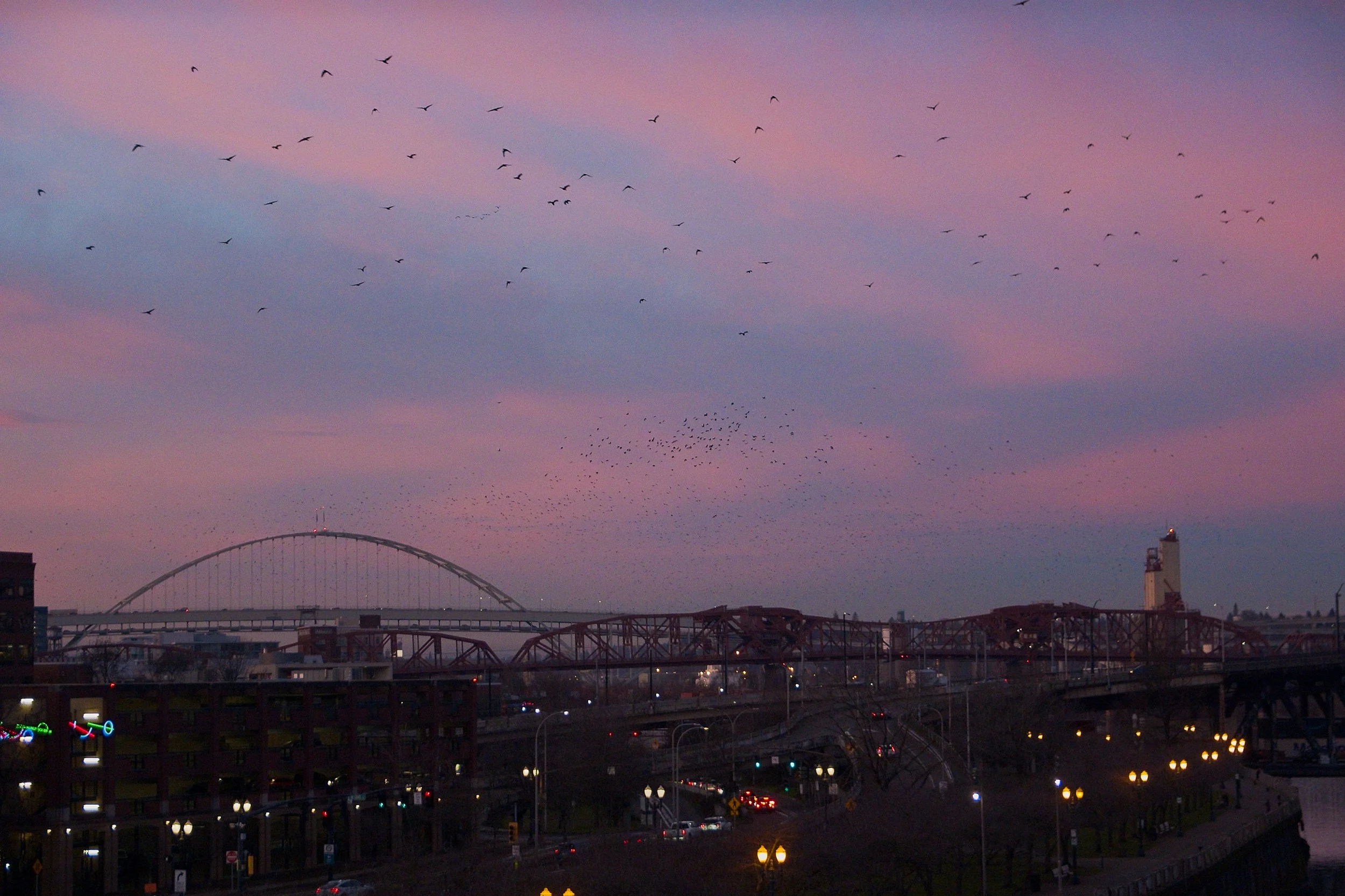 Screenshot 2026-01-23 at 15.36.53.jpg