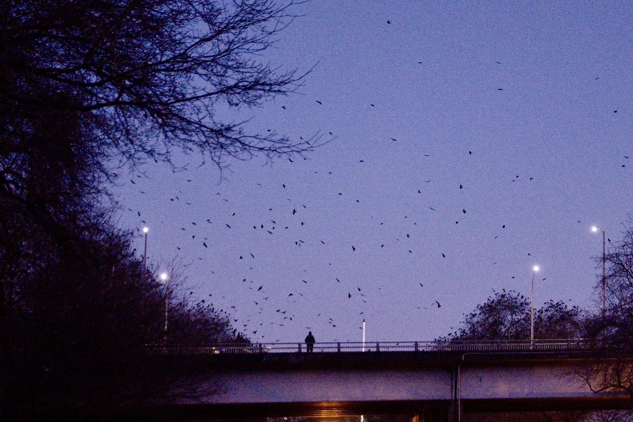 Screenshot 2026-01-22 at 11.47.37.jpg