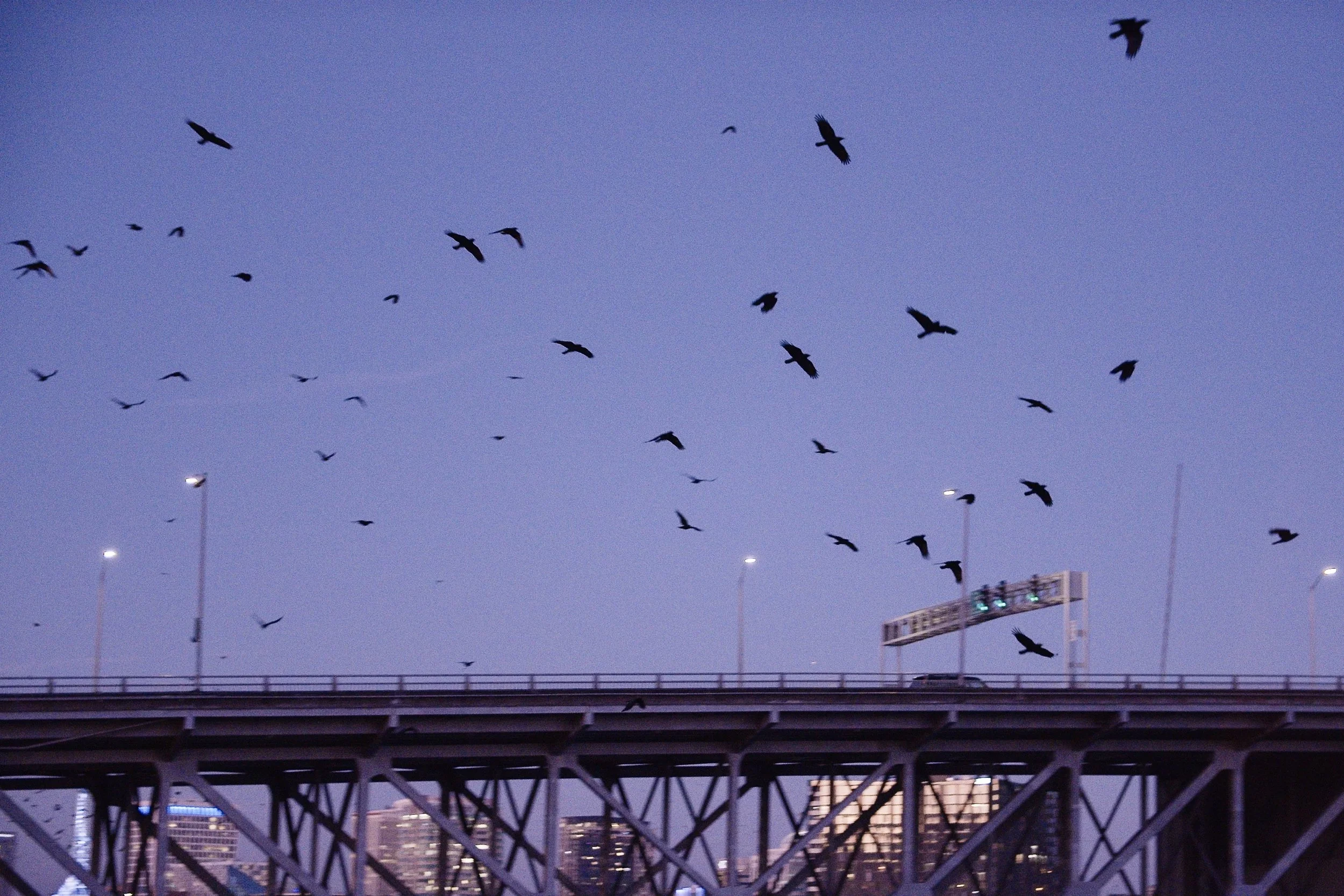 Screenshot 2026-01-22 at 11.45.27.jpg