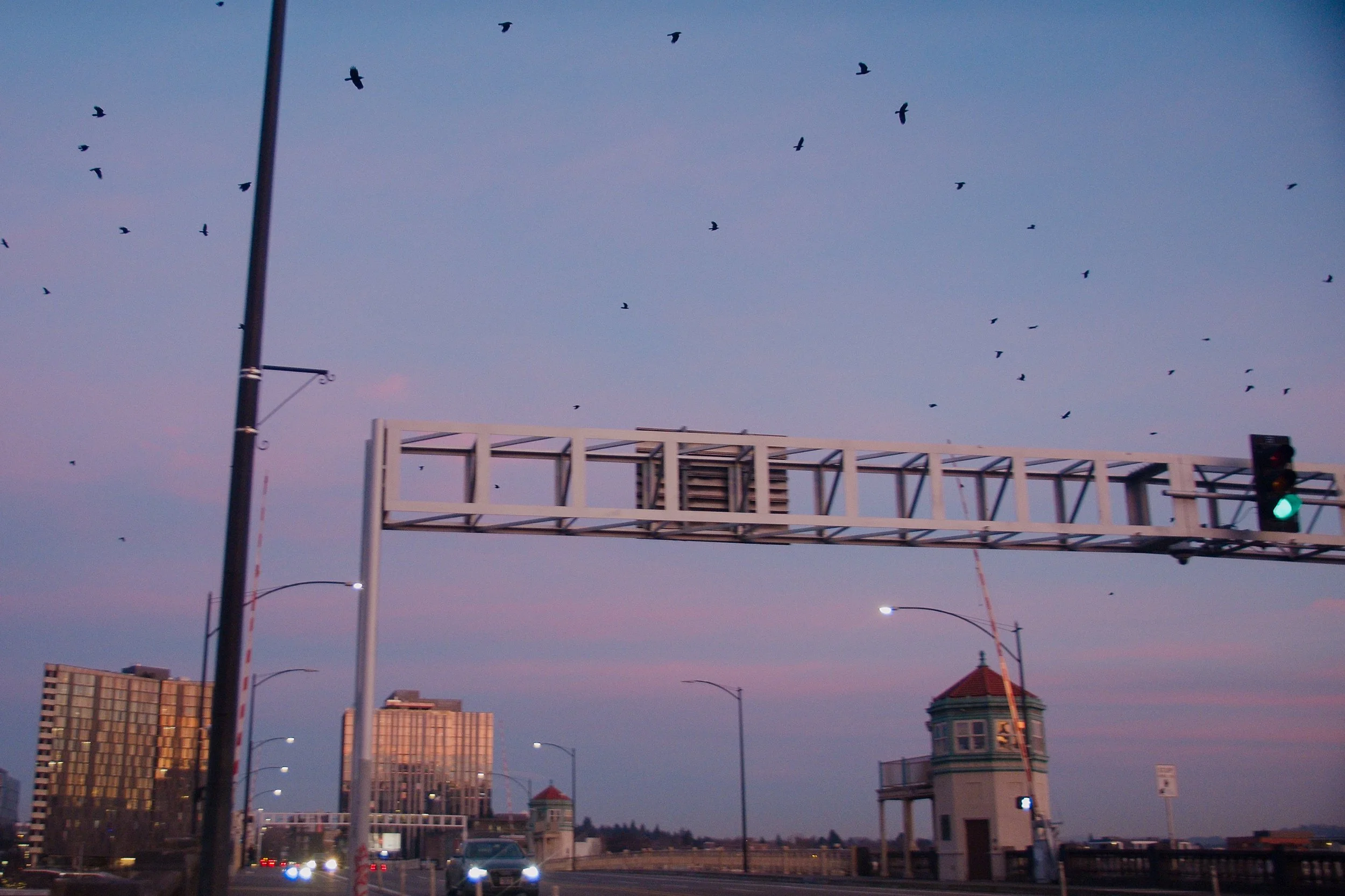 Screenshot 2026-01-23 at 15.34.46.jpg