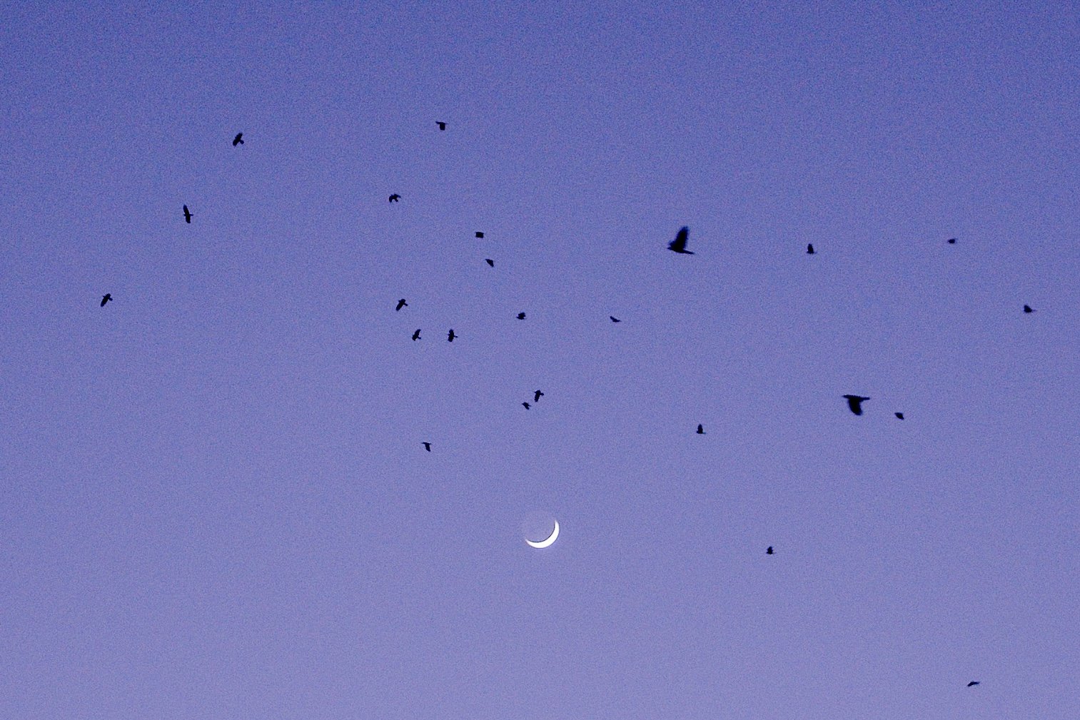 Screenshot 2026-01-22 at 11.48.18.jpg