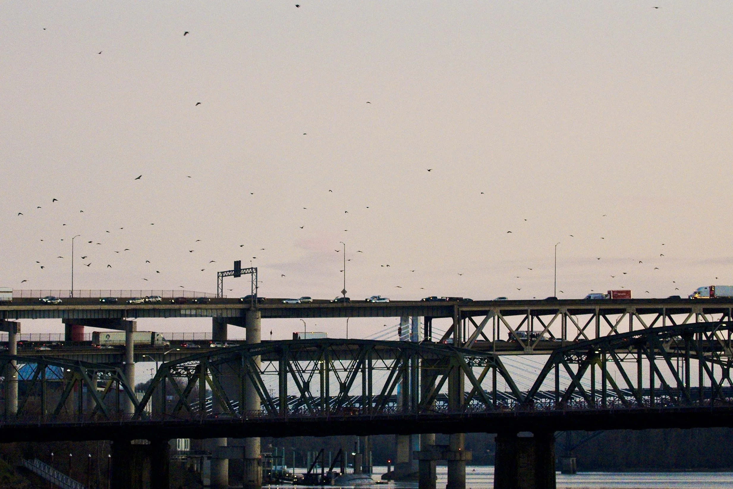 Screenshot 2026-01-22 at 11.34.04.jpg