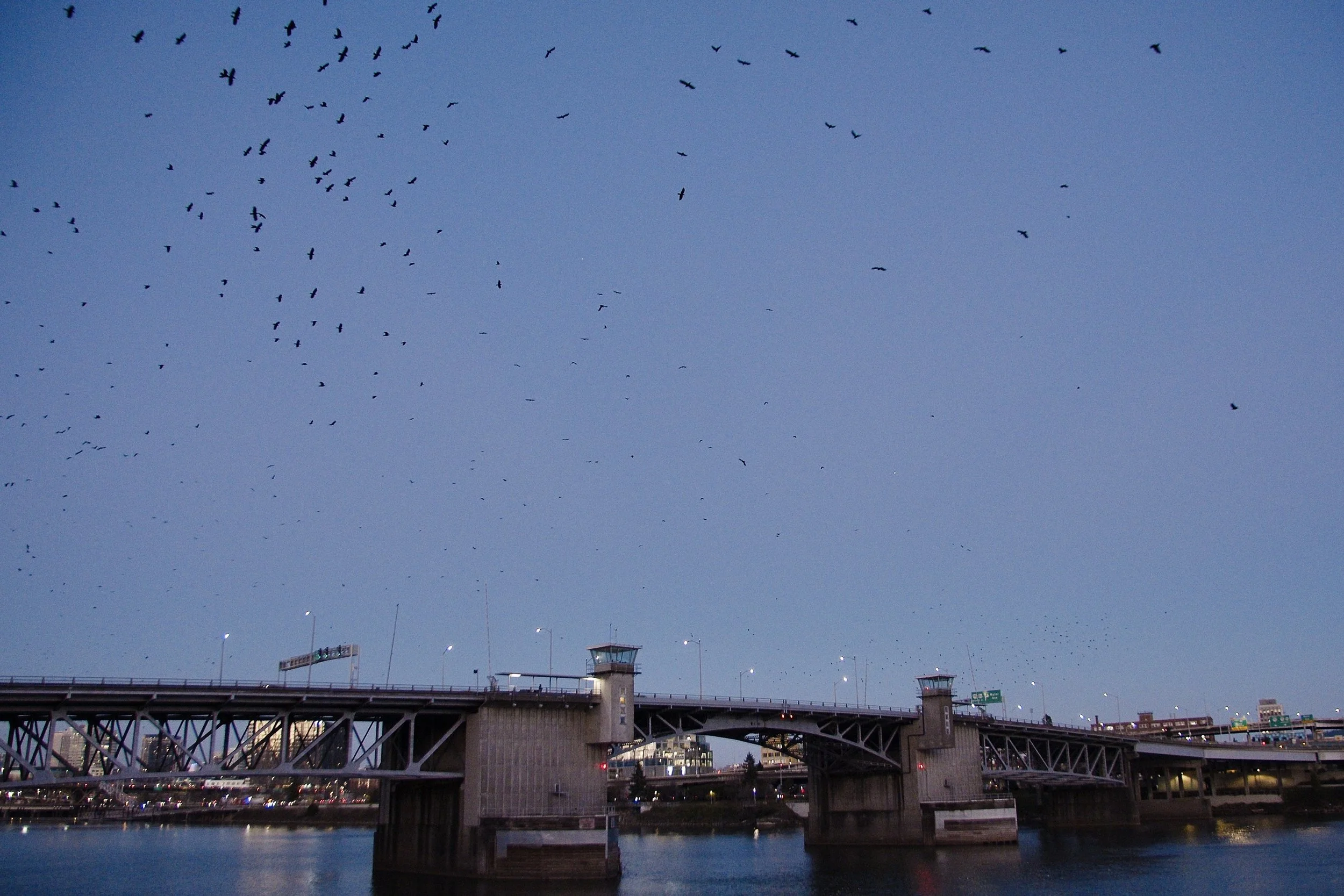 Screenshot 2026-01-22 at 11.42.11.jpg