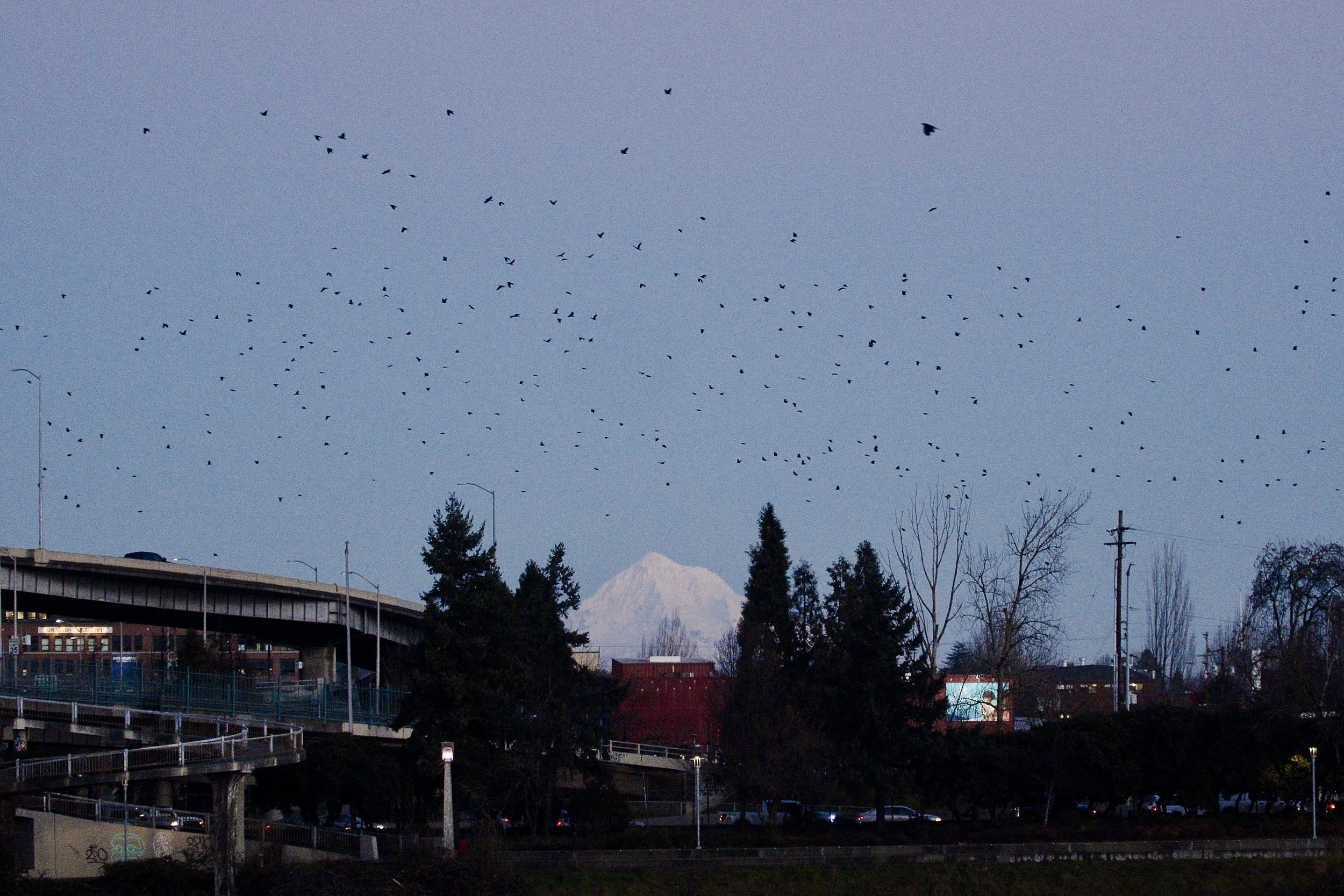 Screenshot 2026-01-22 at 11.38.41 2.jpg