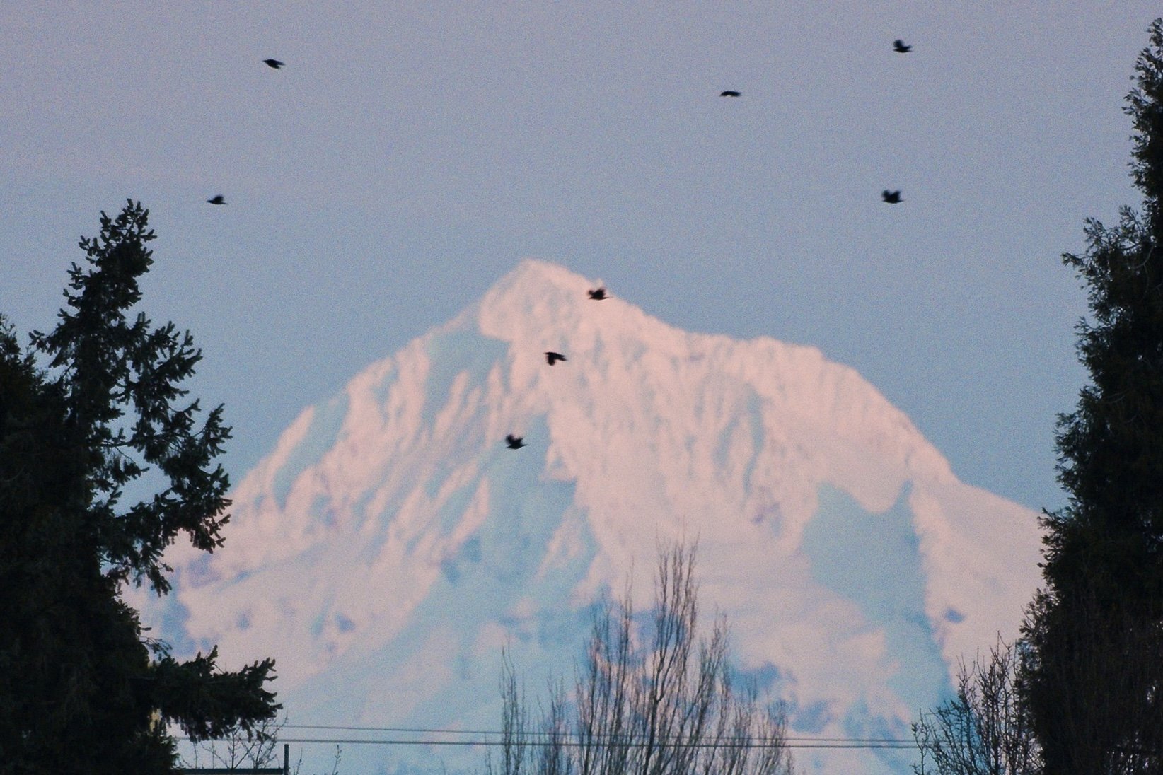 Screenshot 2026-01-22 at 11.29.33.jpg