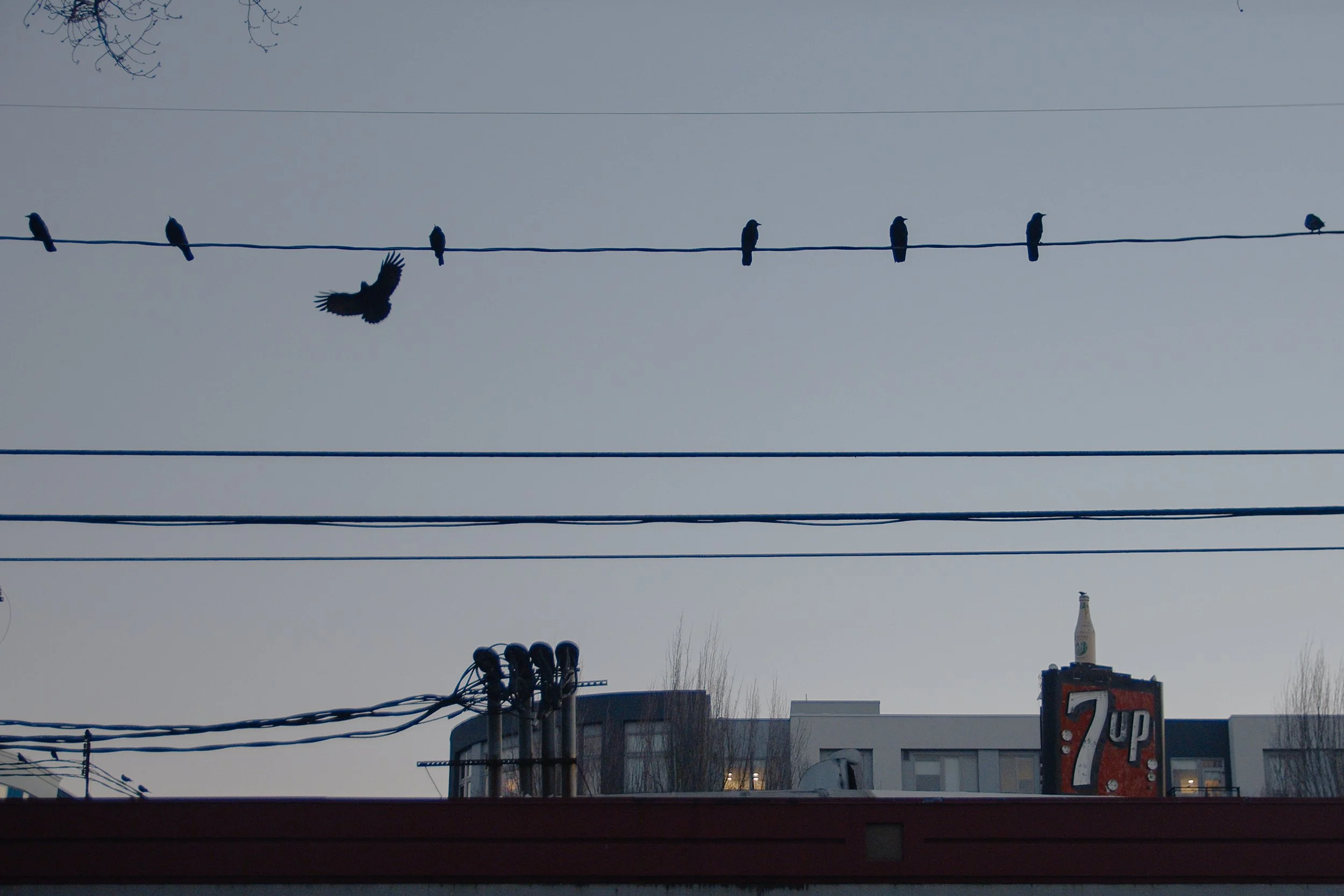 Screenshot 2026-01-25 at 14.07.31.jpg