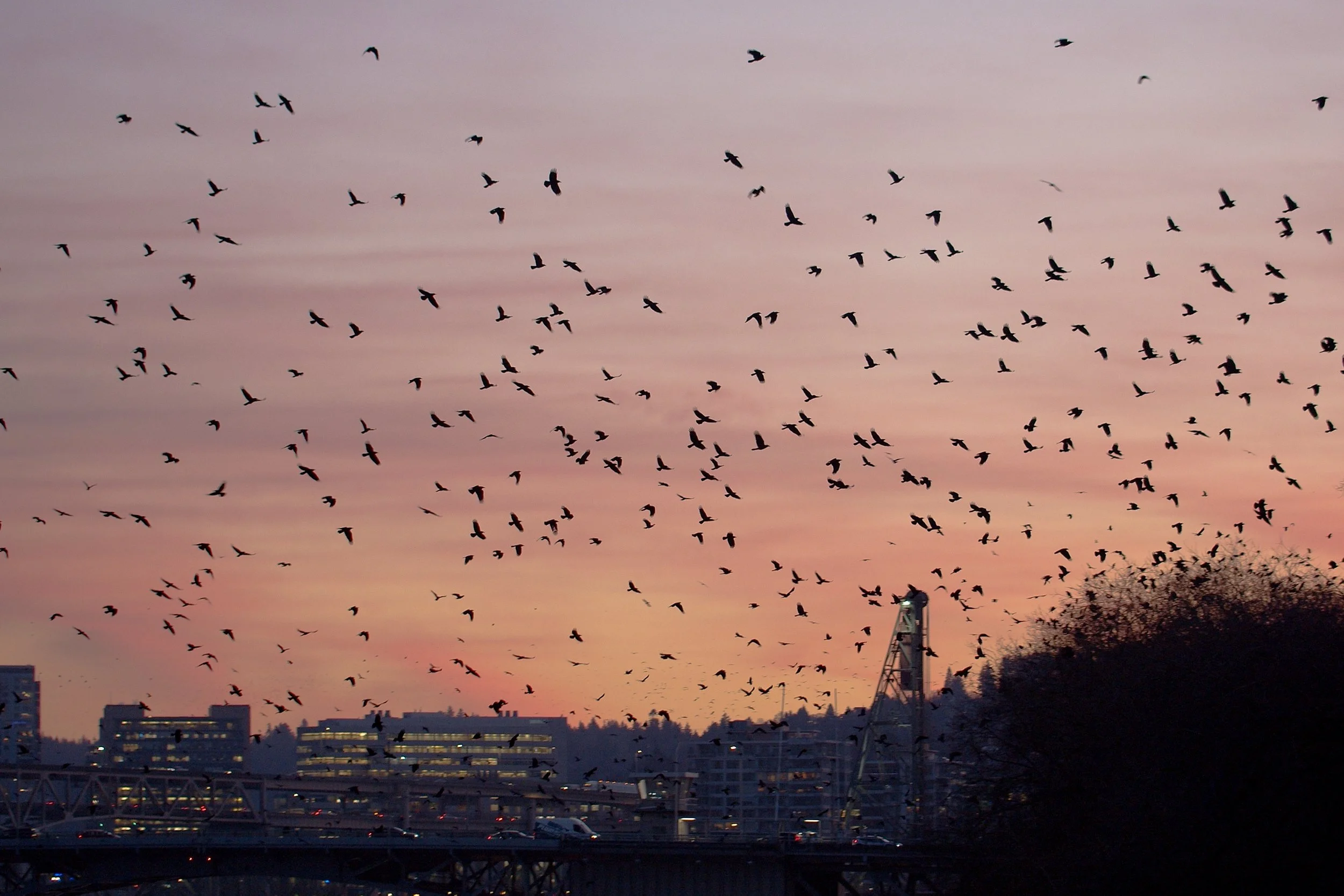 Screenshot 2026-01-23 at 15.29.38.jpg