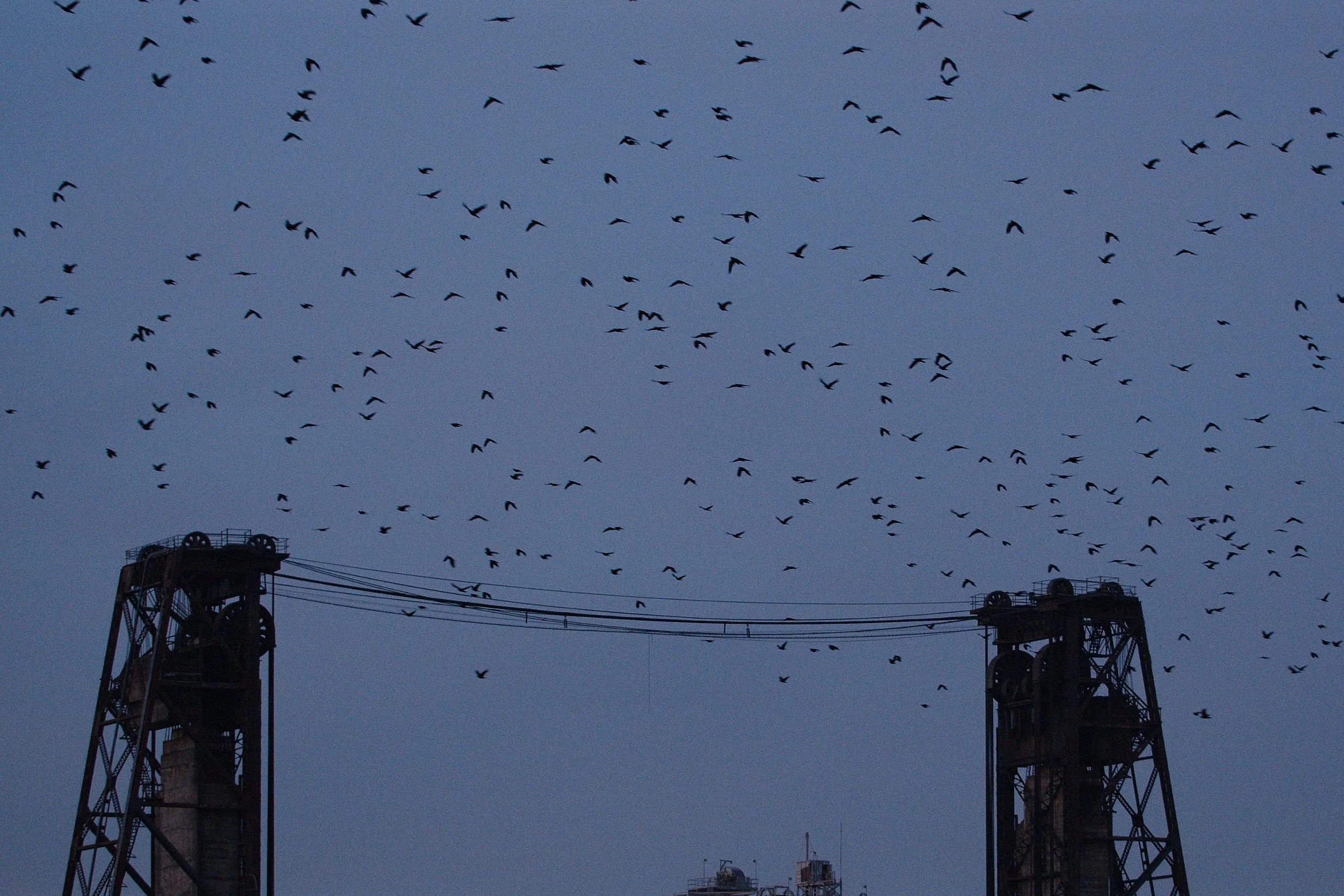 Screenshot 2026-01-23 at 15.24.30.jpg