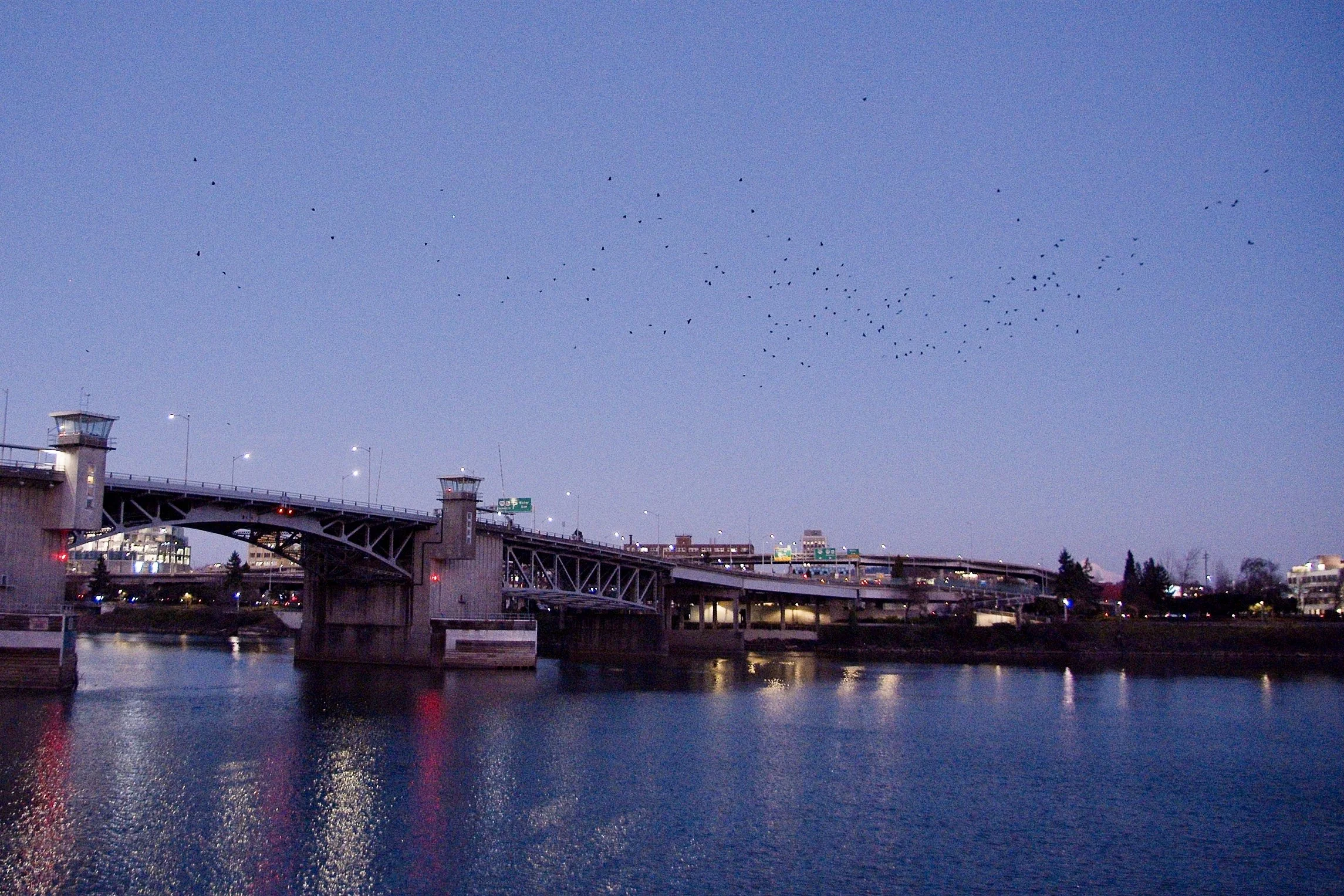 Screenshot 2026-01-22 at 11.46.02.jpg