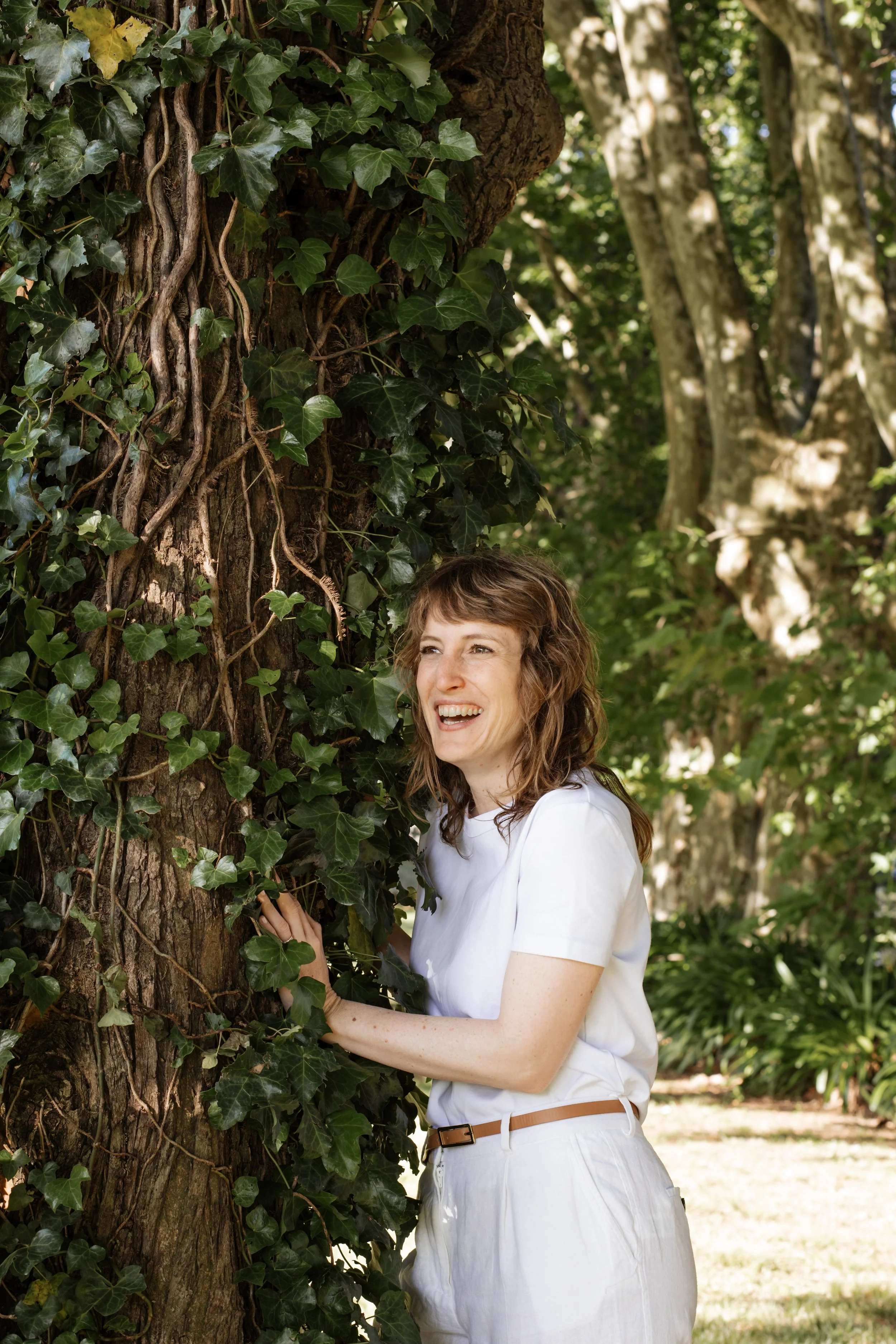 constelaciones familiares