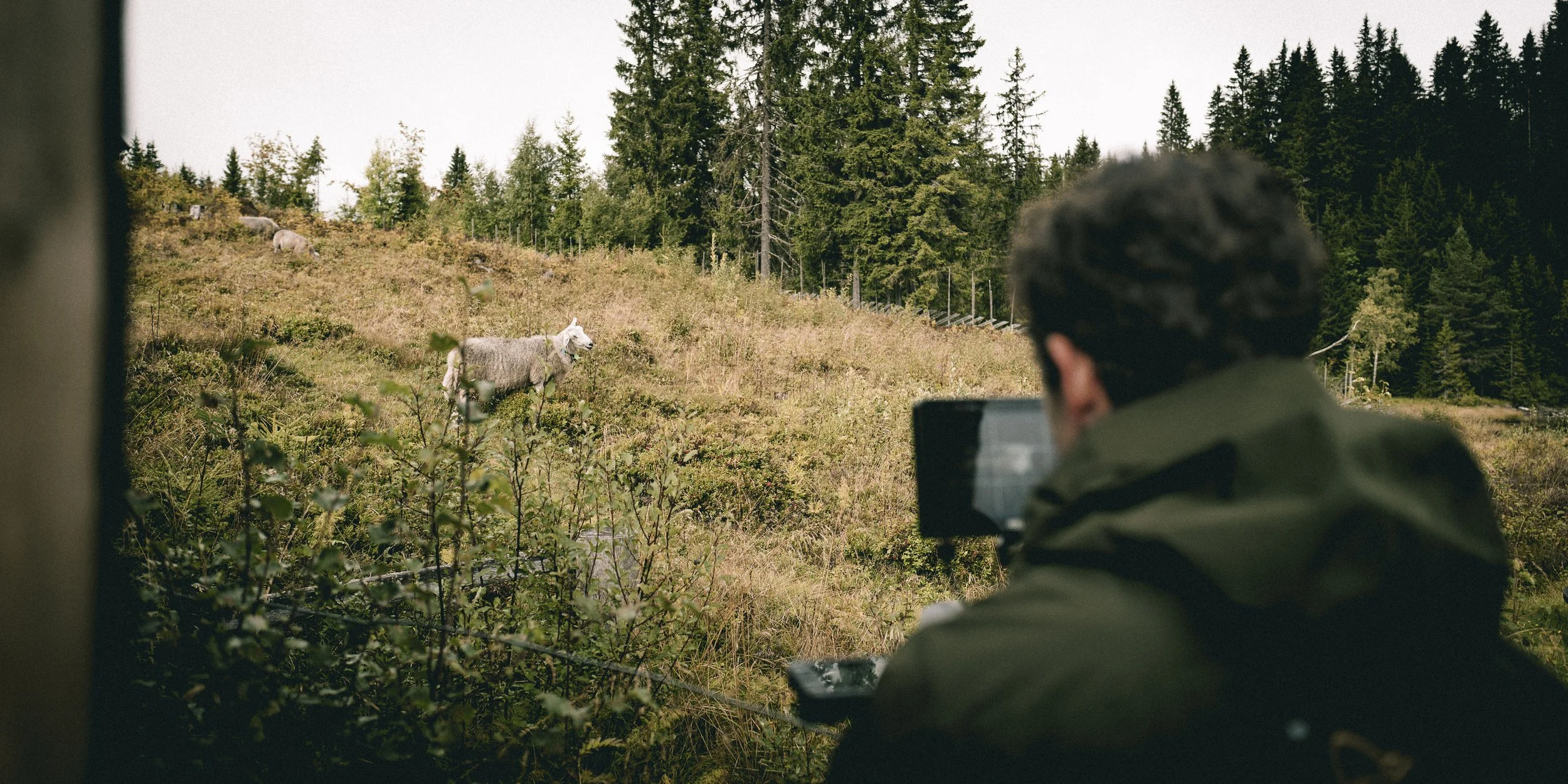 YETI-BTS-4.jpg