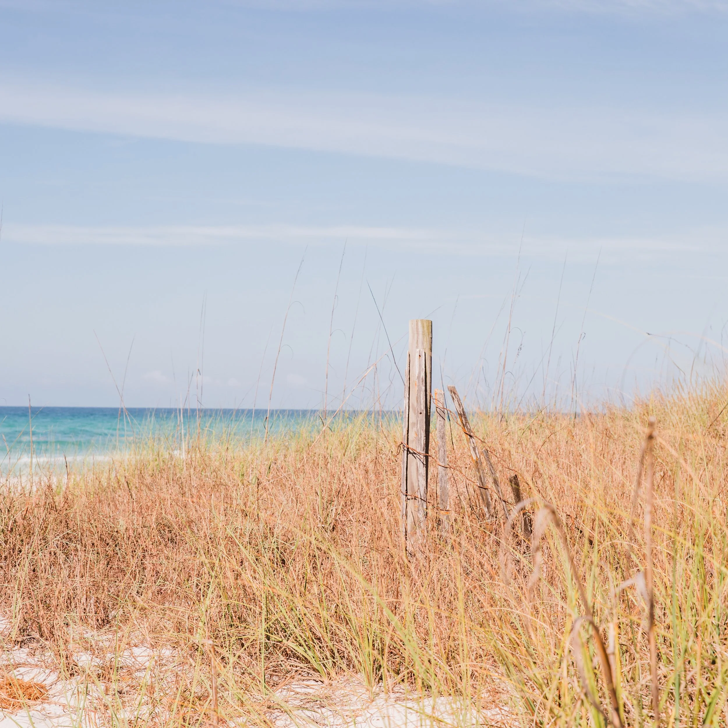 Are you heading to the Gulf this summer? ☀️🌊

I&rsquo;ll be splitting my time between Louisiana and the 30A area this summer, and I&rsquo;d love to create something beautiful while we&rsquo;re there. Whether it&rsquo;s updated family photos, couples