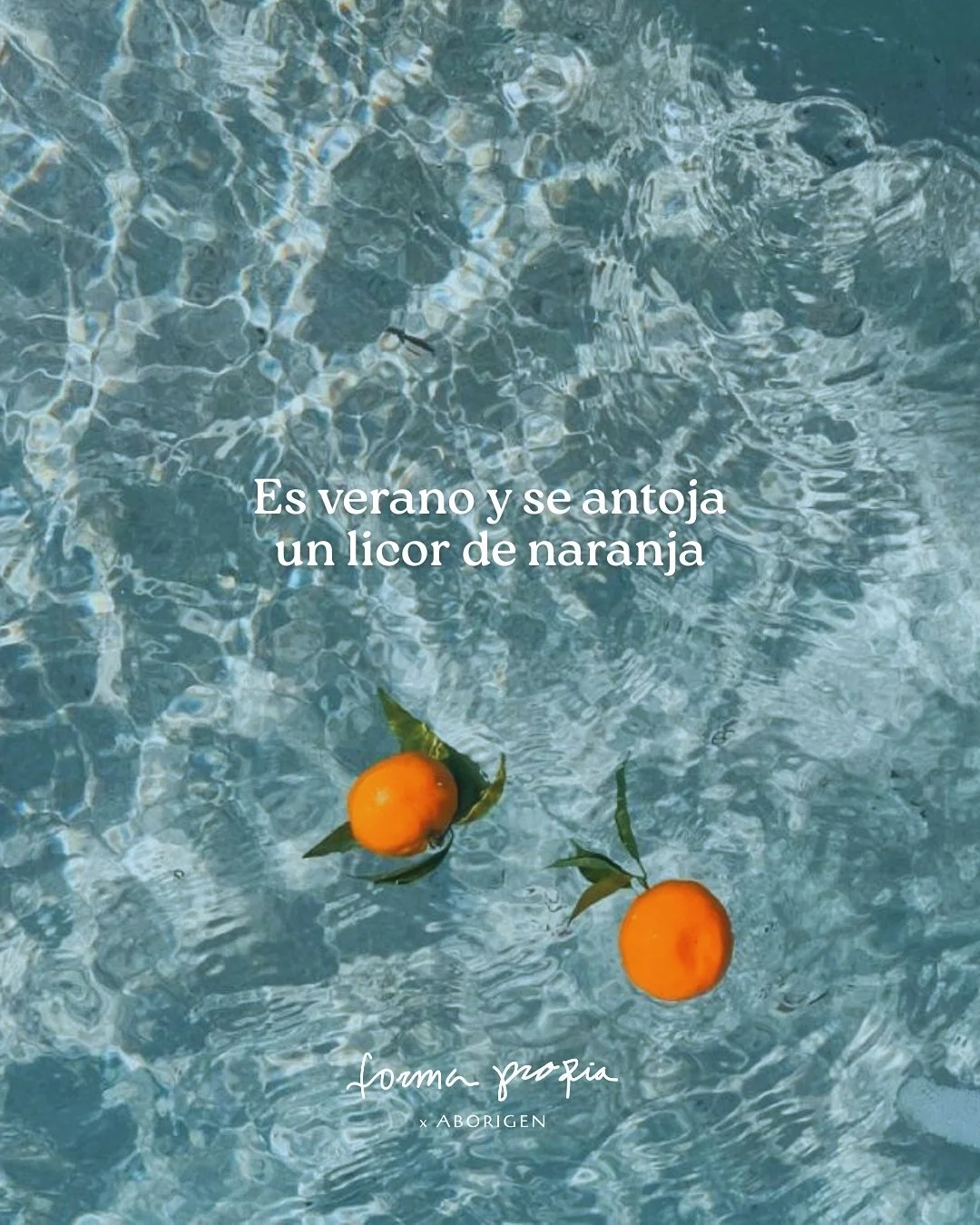 Enamorados de Salsipuedes 🍊🧡 | A la venta en @lacontravinos o pide tu 24-pack y lo enviamos derechito a tu casa (solo M&eacute;xico).
.
.
.
#licordenaranja #naranja #summer #drink