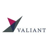 Valiant Capital.jpeg