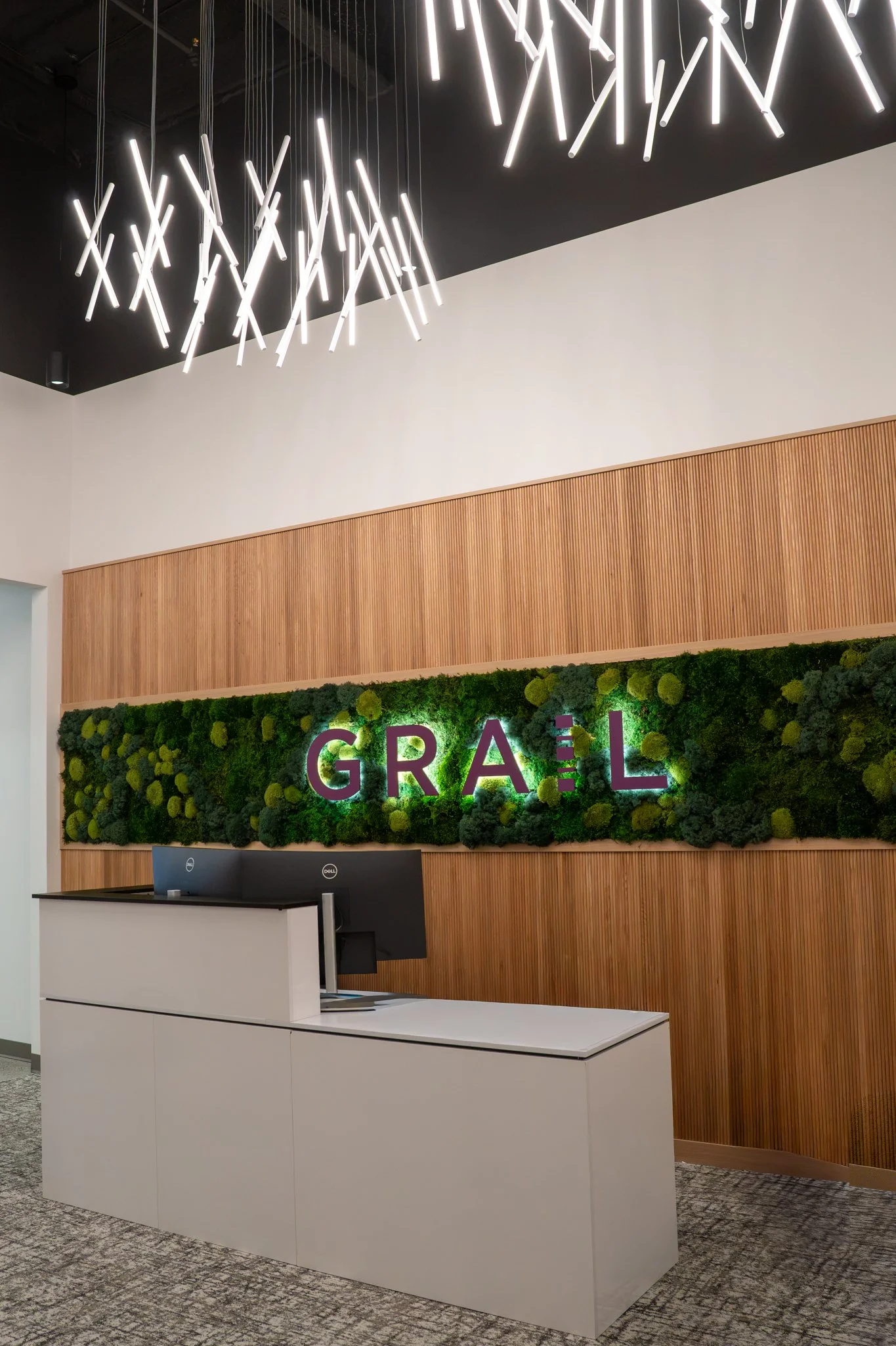 Grail SVL-02.jpg