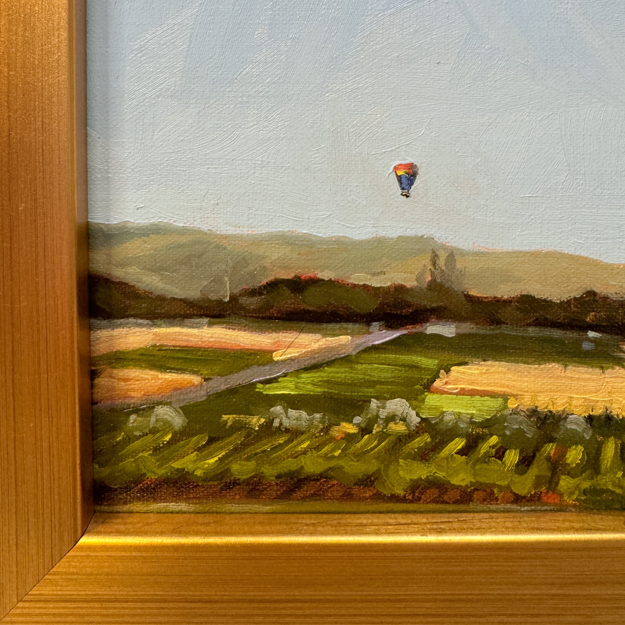 Vineyard Landing up close_Mel Middleton.jpg