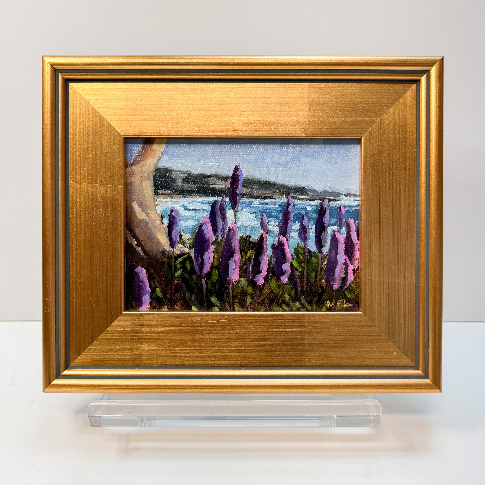 Framed Pride of Madeira_Mel Middleton.jpg