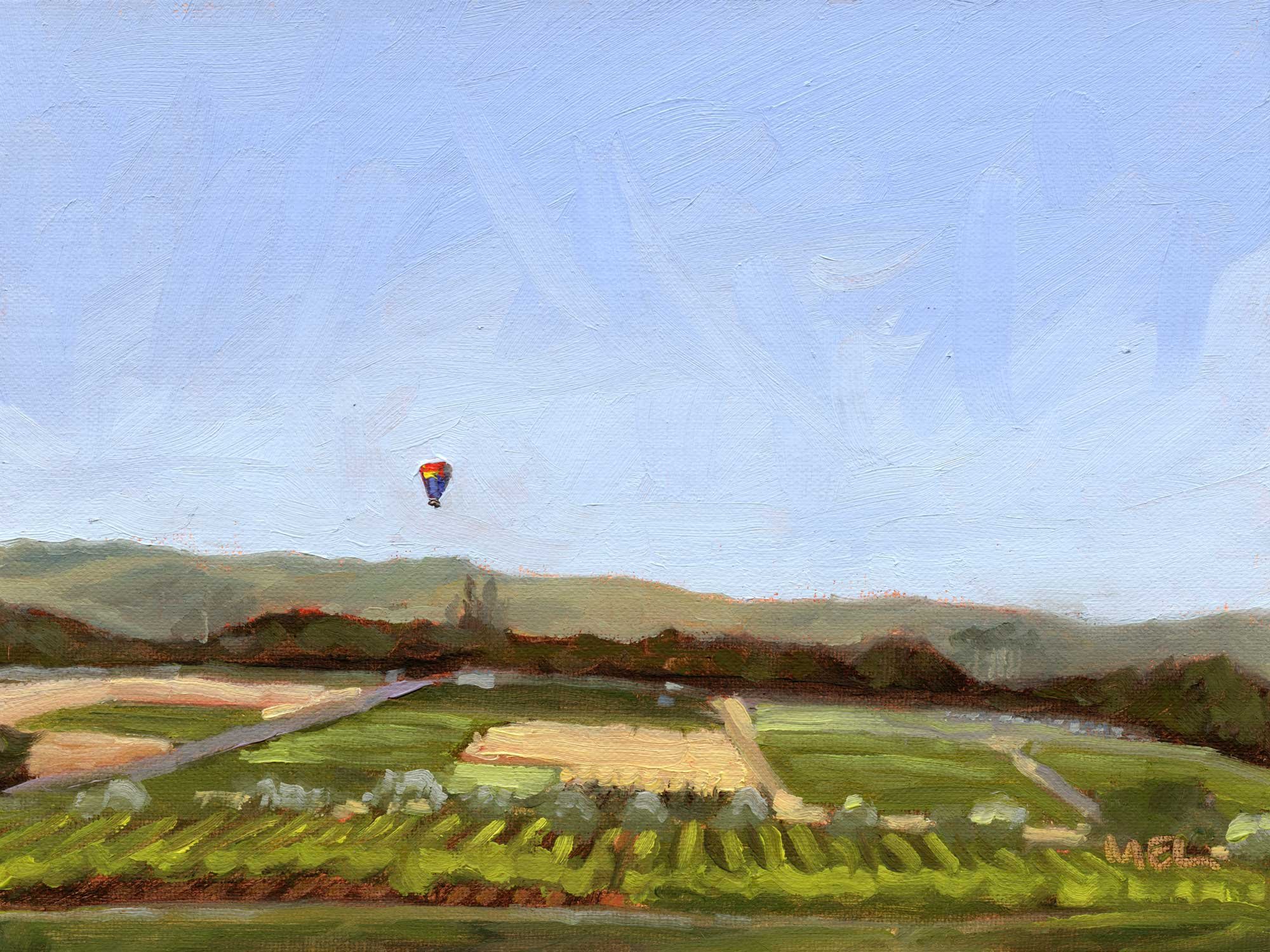 vineyard-landing_Mel-Middleton.jpg