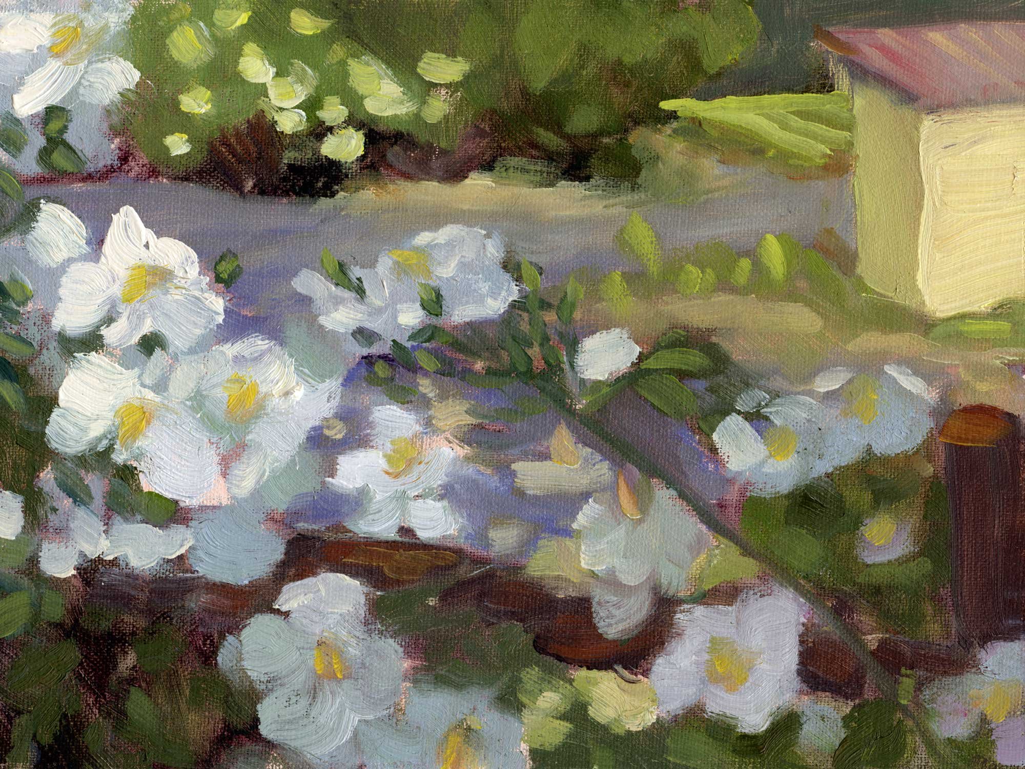 Roses-in-the-Vineyard_Mel-Middleton.jpg