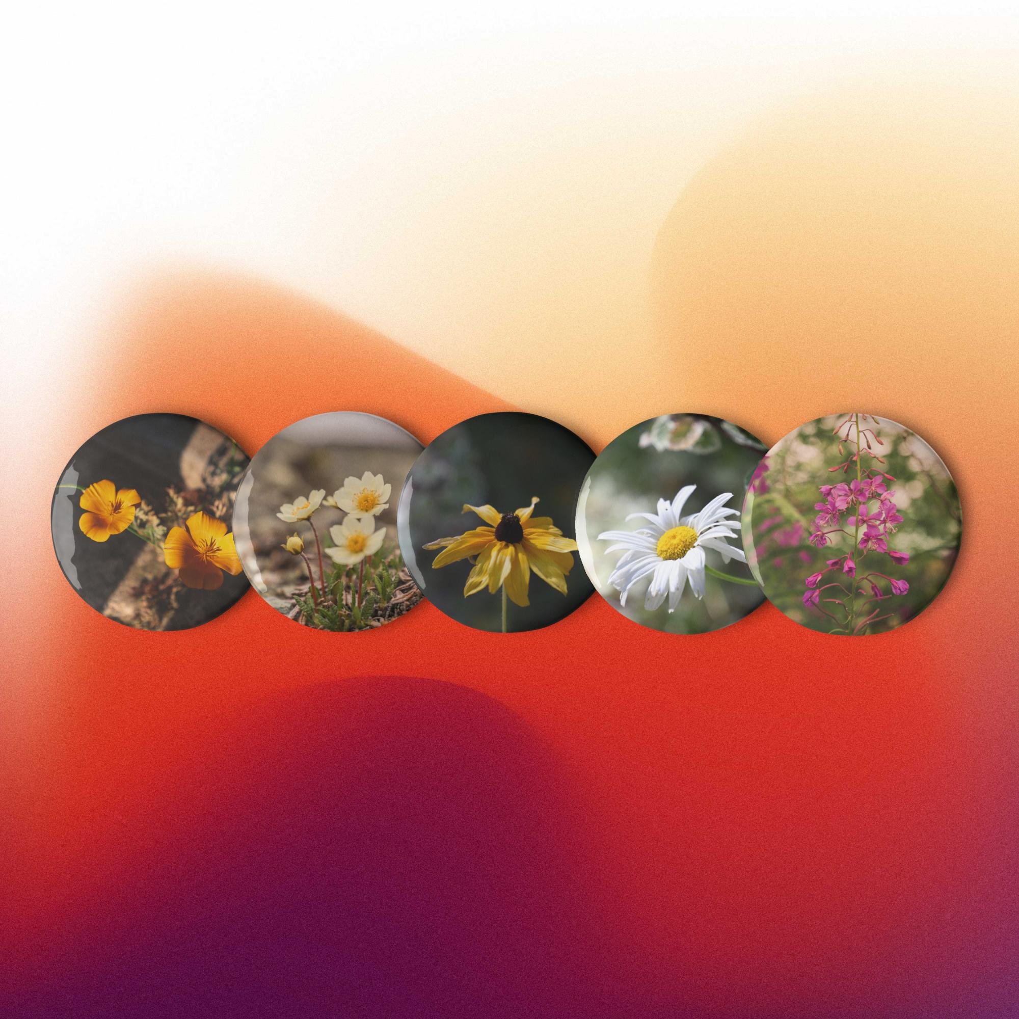 Wildflower CA & AK Set of pin buttons