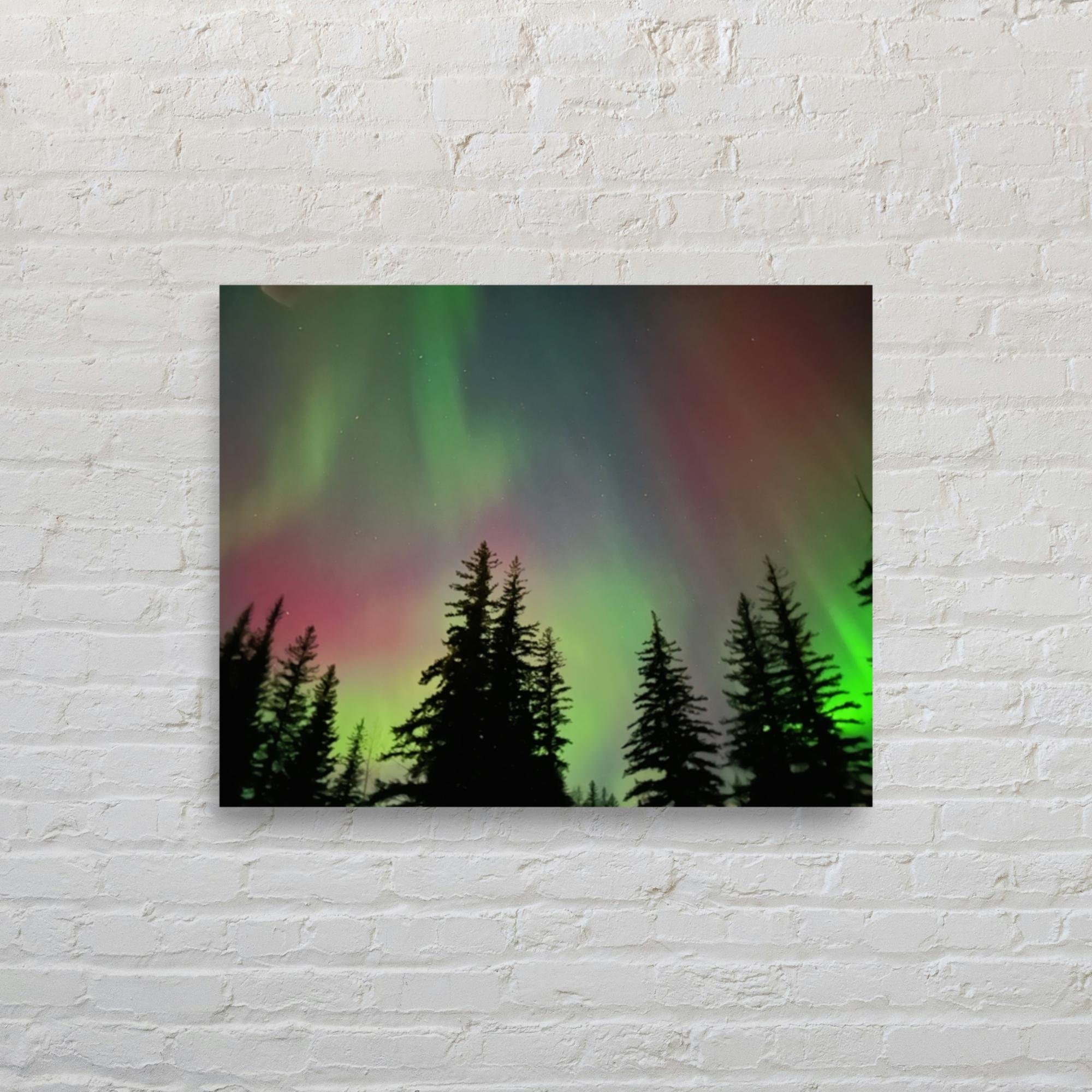 Shop original photography and custom printed artwork from Suh Homie. Created by local artists in Valdez, Alaska — every purchase supports Suh Homie Tattoo and Alaska's creative community.