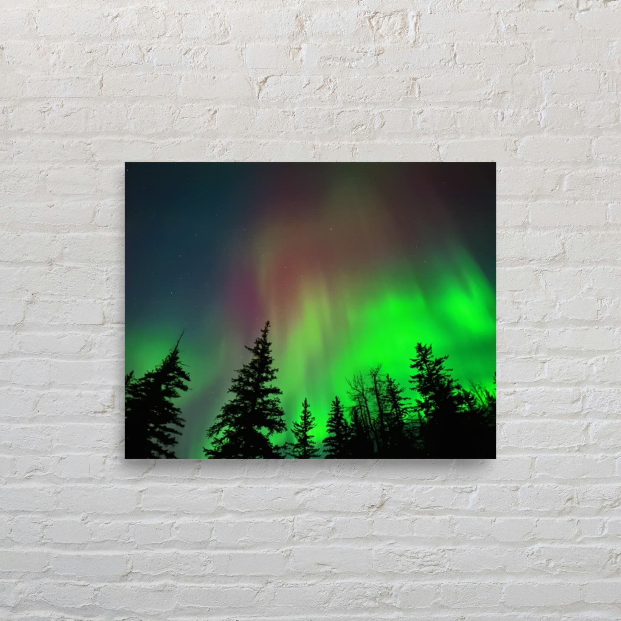 Shop original photography and custom printed artwork from Suh Homie. Created by local artists in Valdez, Alaska — every purchase supports Suh Homie Tattoo and Alaska's creative community.