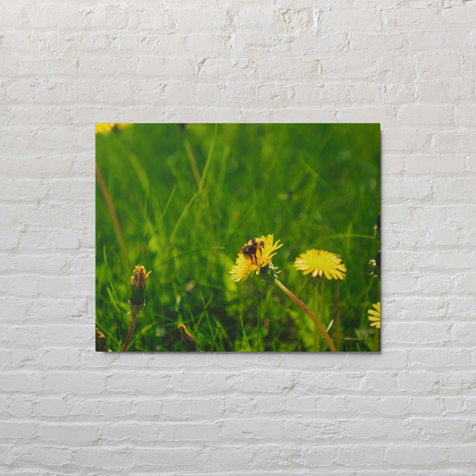 Shop original photography and custom printed artwork from Suh Homie. Created by local artists in Valdez, Alaska — every purchase supports Suh Homie Tattoo and Alaska's creative community.