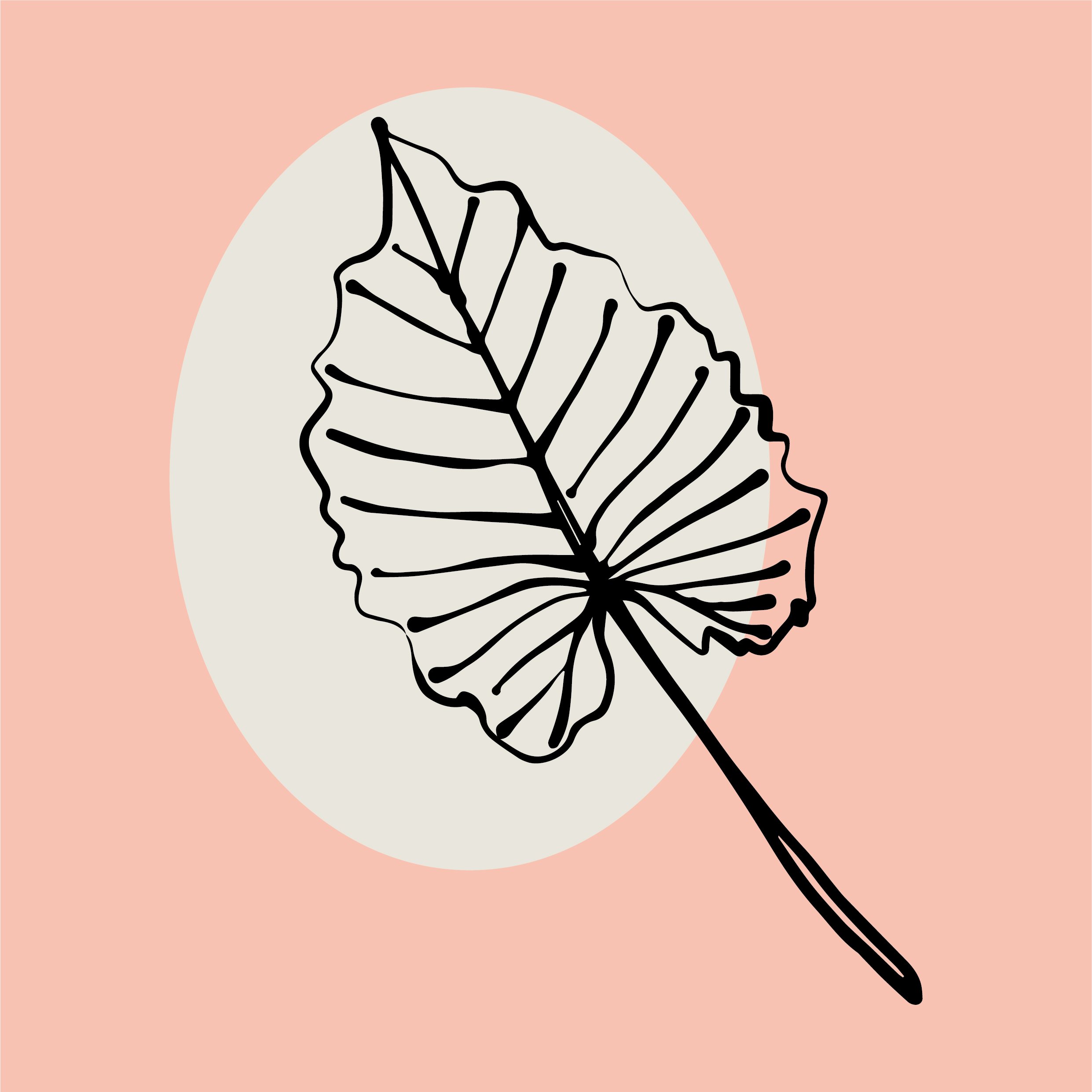 VEVA LAB branding-14.jpg