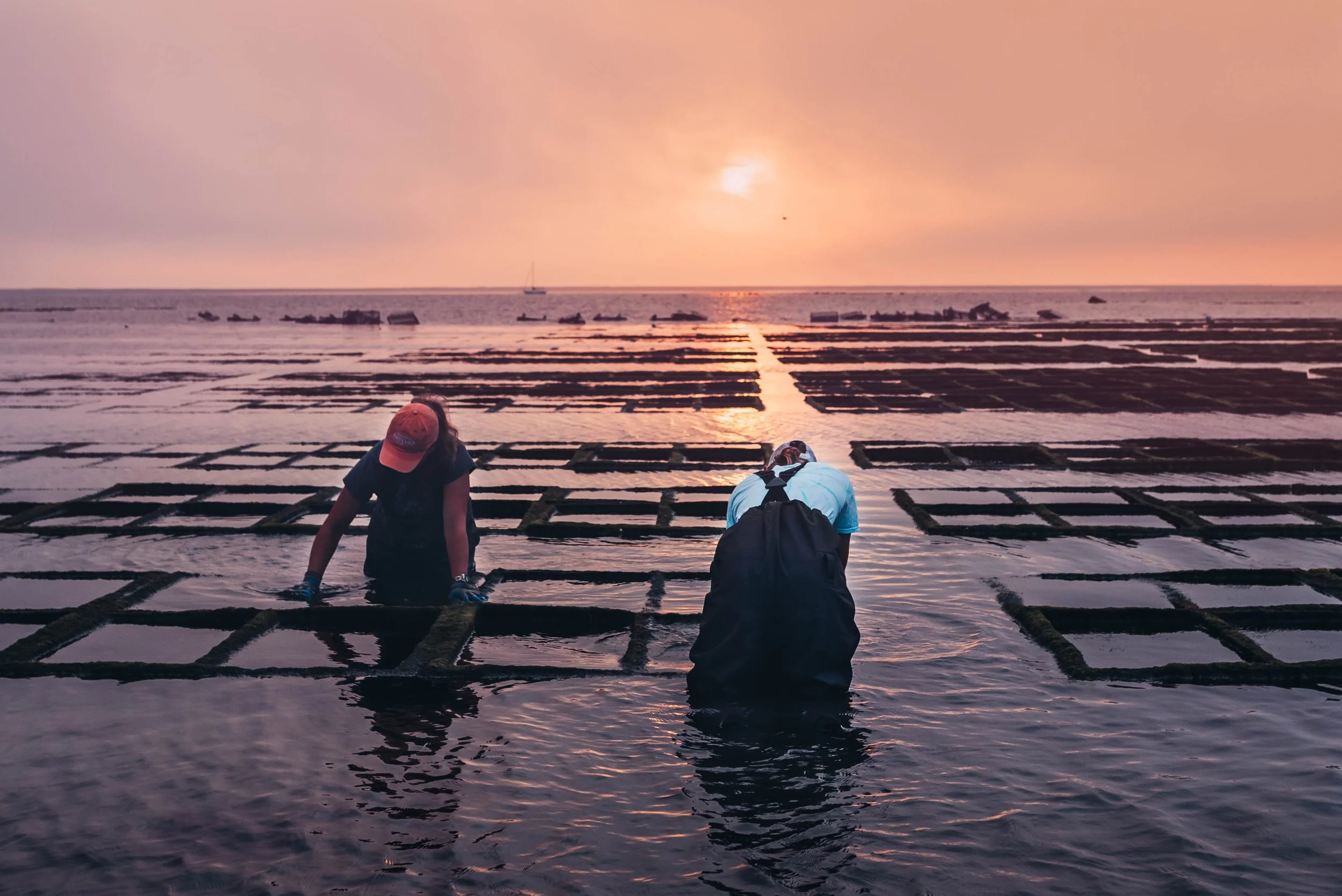 OysterFarms_-37.jpg