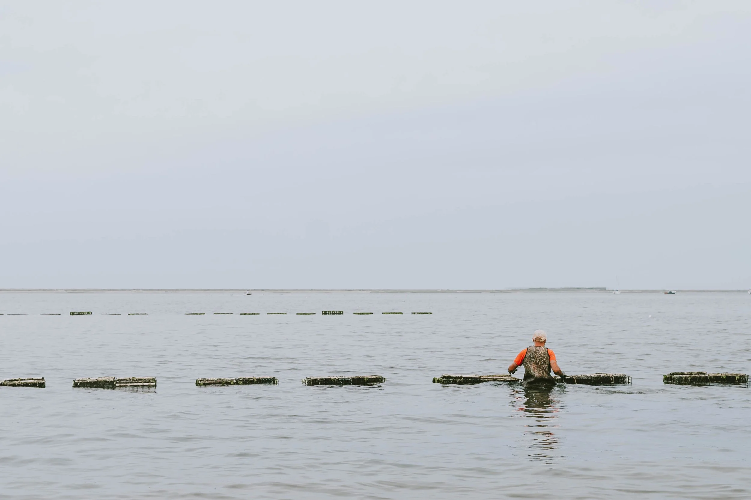 OysterFarms_-33.jpg