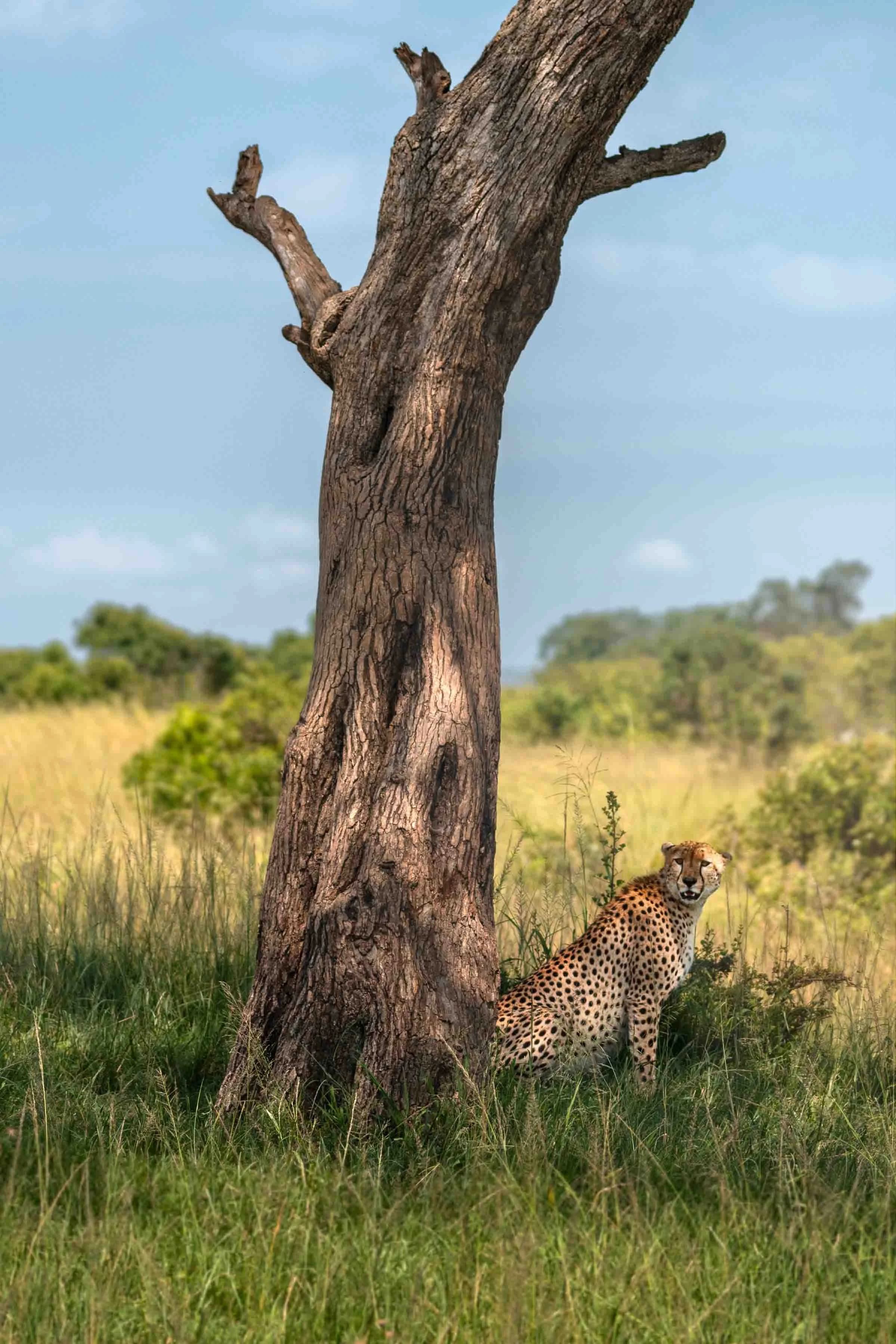 Liz_africa_website-18.jpg