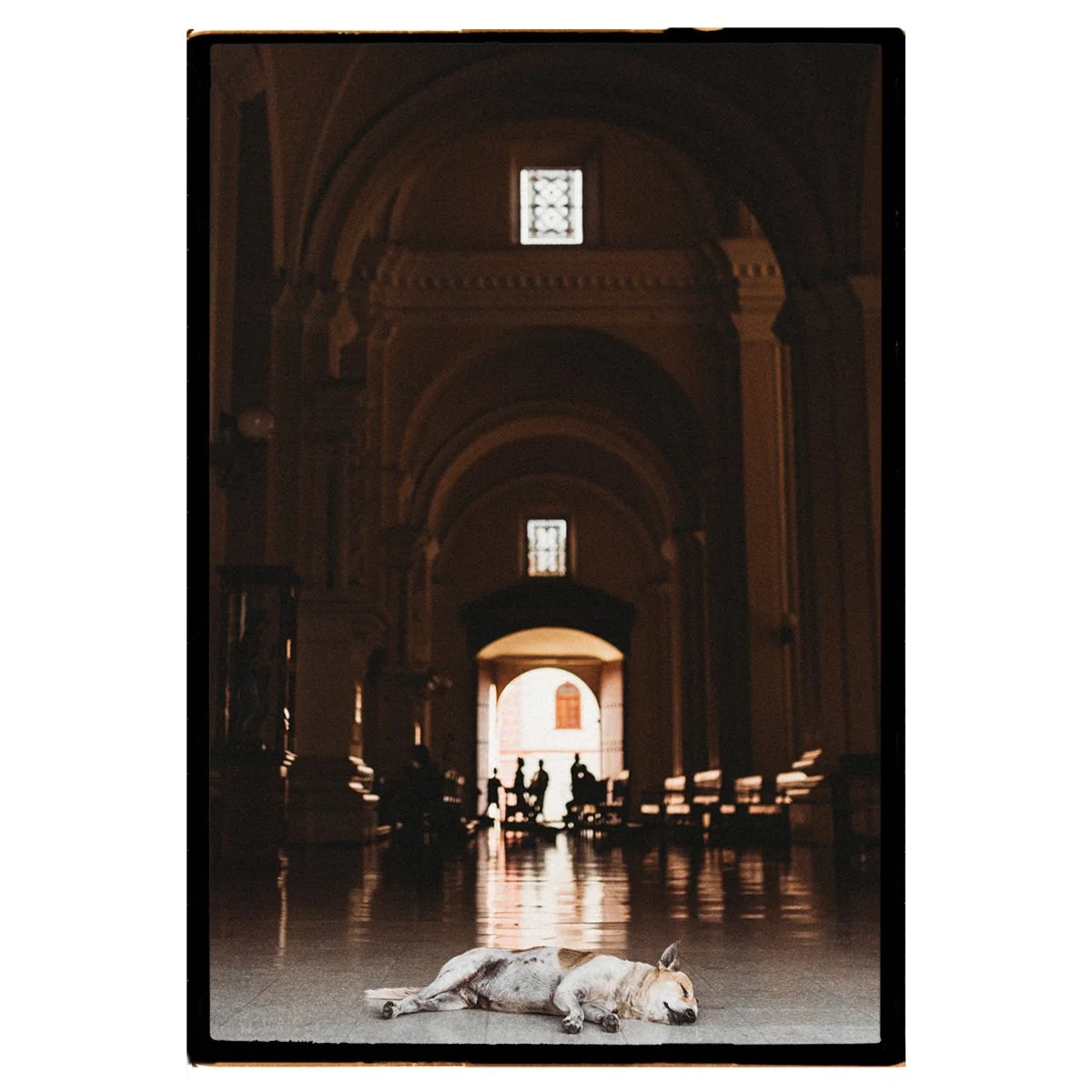 Film_Nicaragua_Church_Dog.jpg