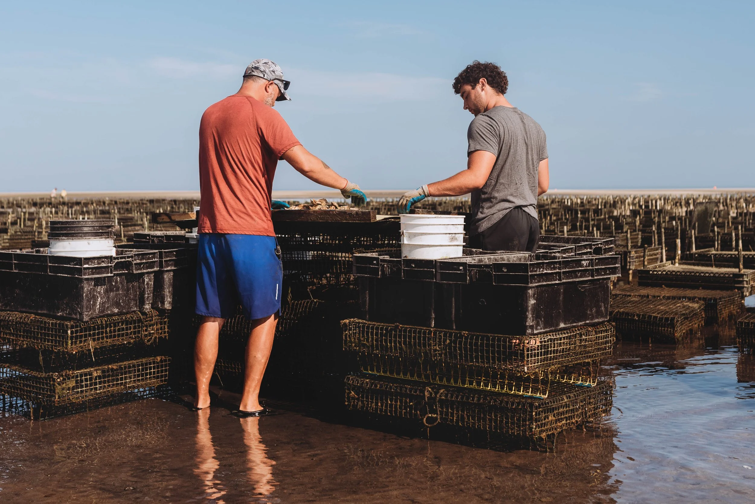 Oyster Farms_-1.jpg