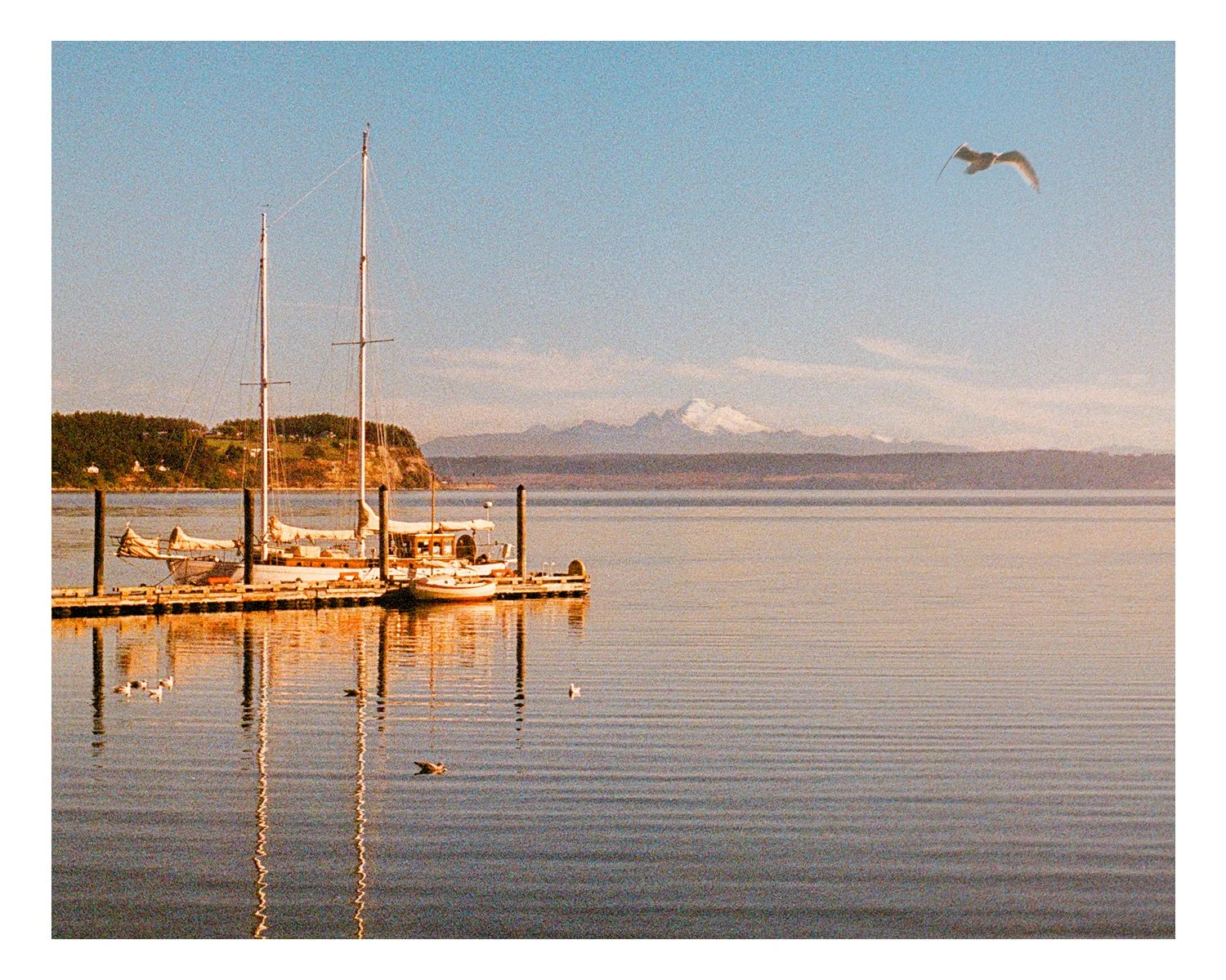pnw_summer_2.jpg