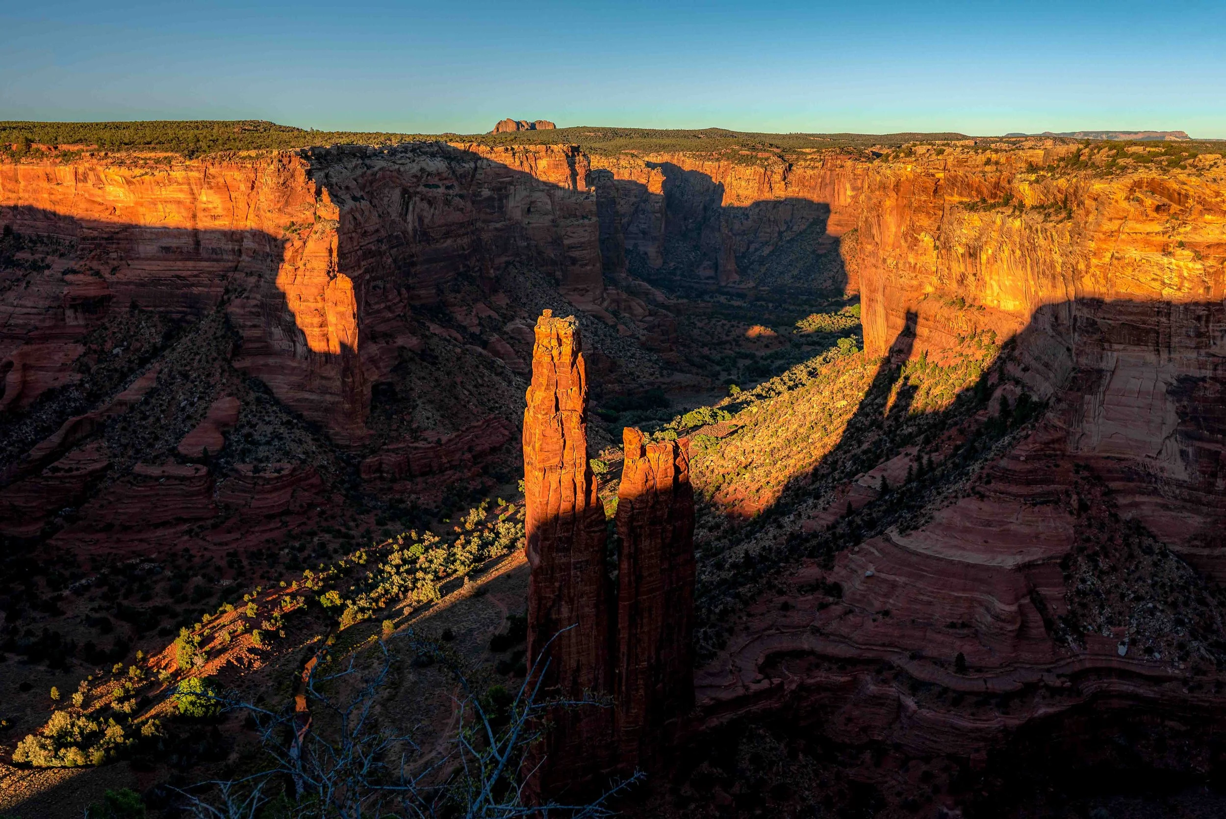 Liz_arizona_website-14.jpg